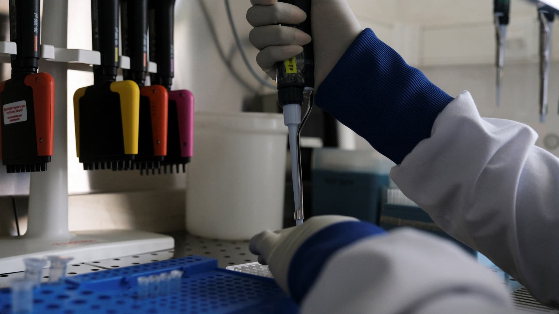 Regresa Hantavirus: Se Encienden las Alertas Sanitarias en Venezuela con Tres Muertos