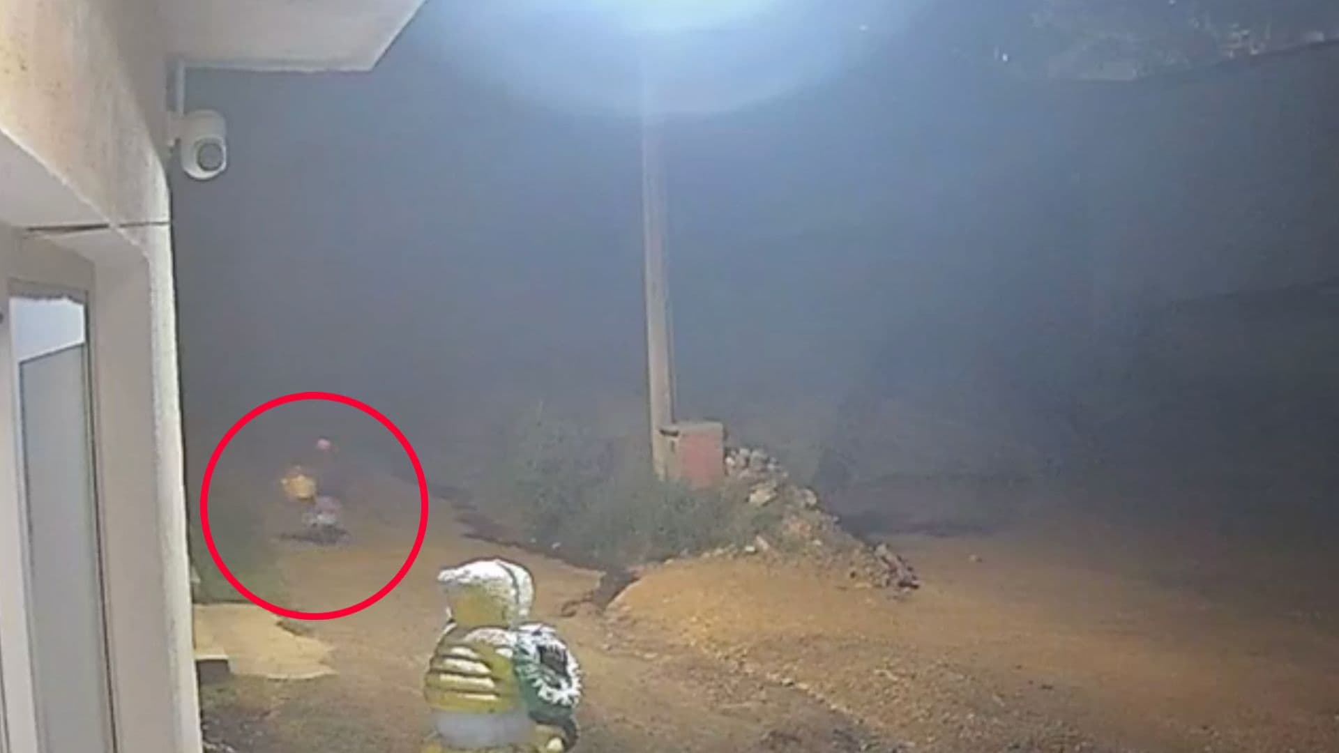 Homicidio Mujer Tercera Edad Dominga Pérez Comisario Asalto San Salvador Chachapa Amozoc Puebla
