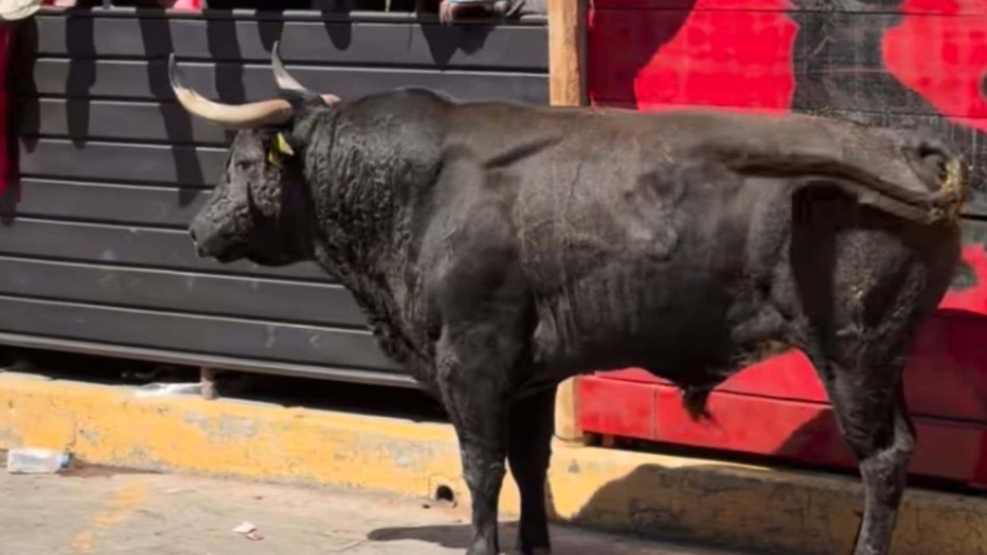 Humantlada 2026 deja dos muertos y varios lesionados en Tlaxcala.