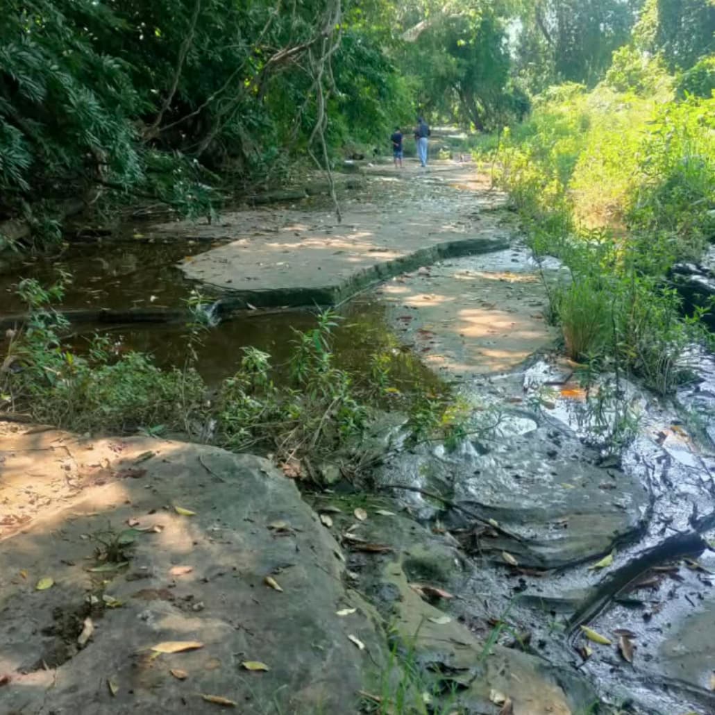 Zona del río donde fueron halladas las huellas de dinosaurio