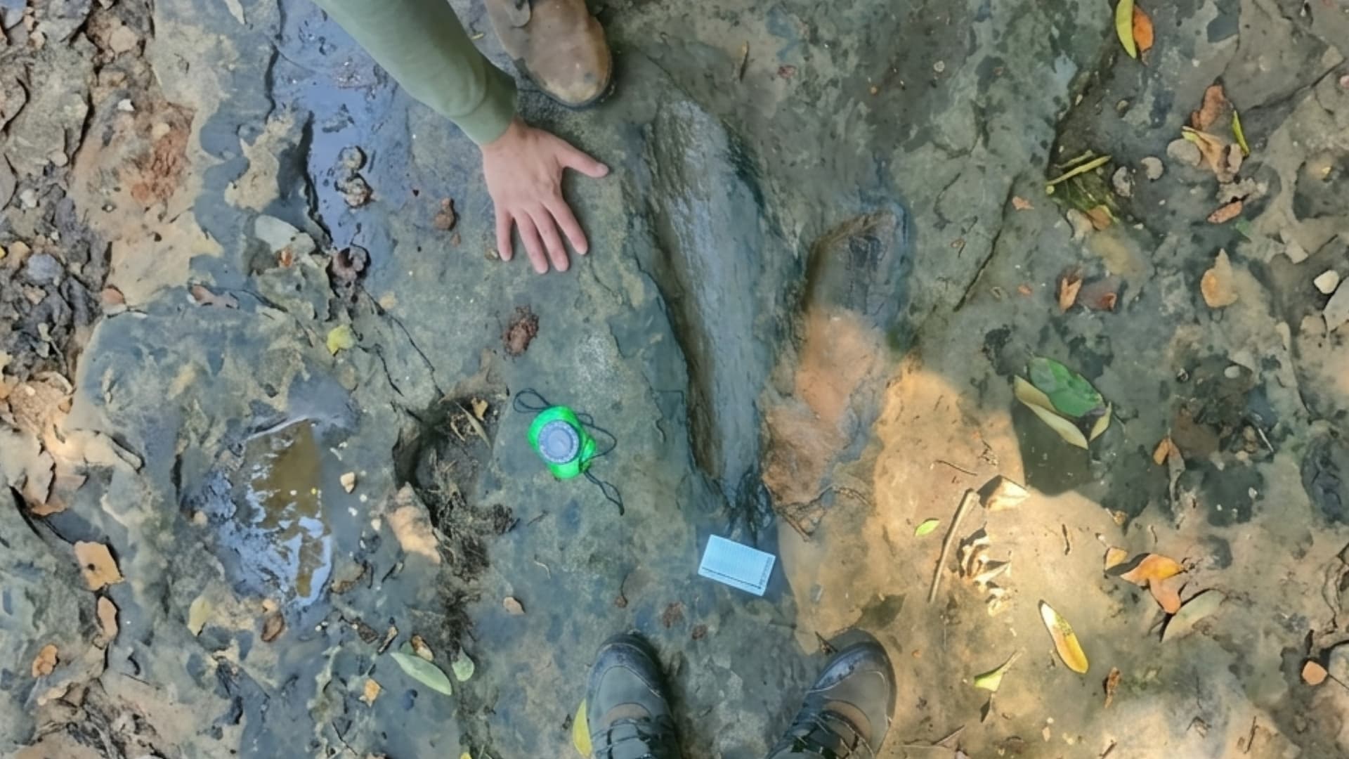 Pobladores de San Juan de los Plátanos descubrieron huellas de dinosaurios en Apatzingán, Michoacán