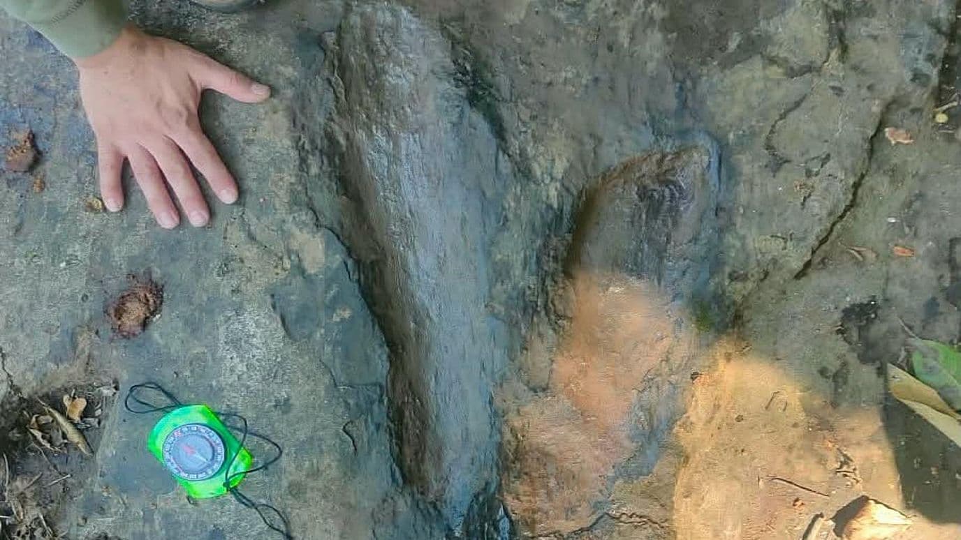 Huella de dinosaurio encontrada en margen de un río en Michoacán. Foto: INAH