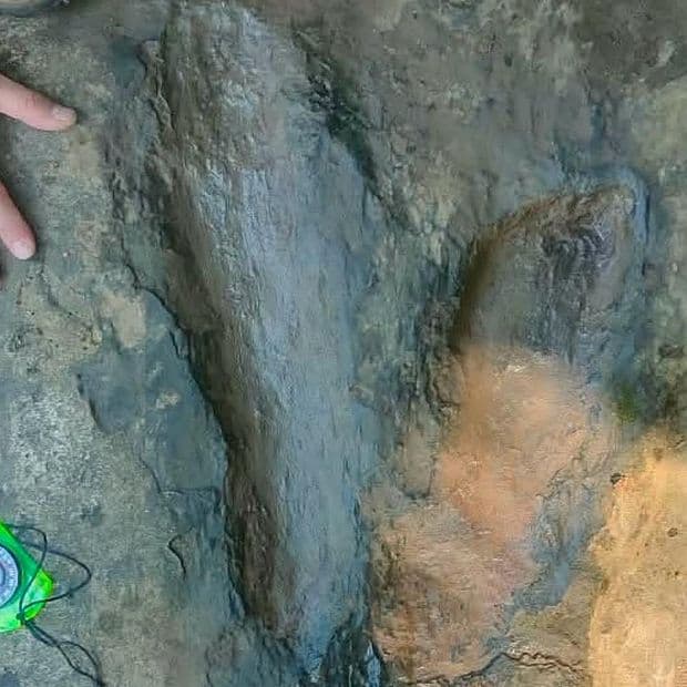 Fotos de las Huellas de Dinosaurios Halladas en Michoacán: Rastros Son de Estas Especies