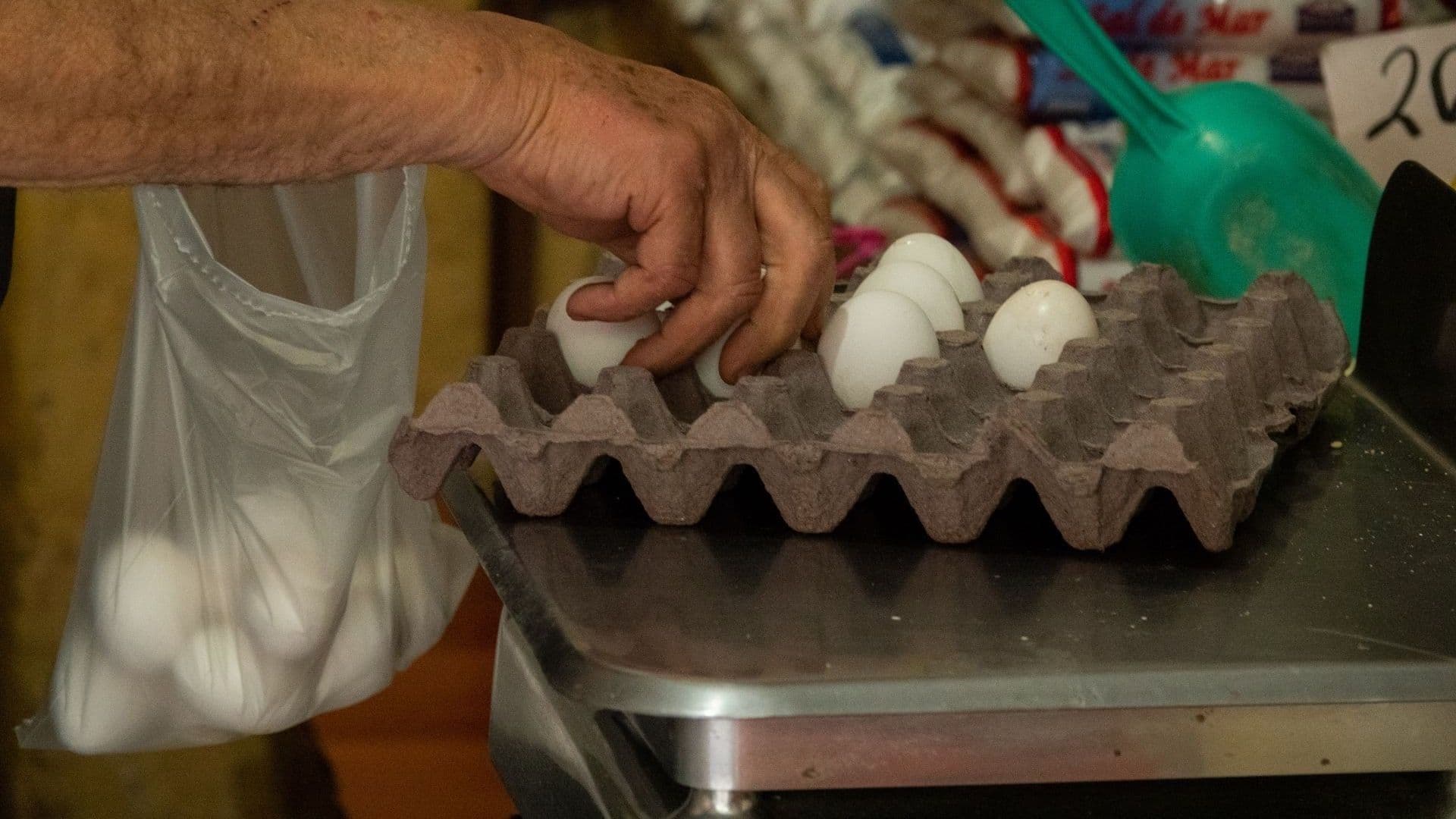 ¿Cómo detectar huevo con salmonella?