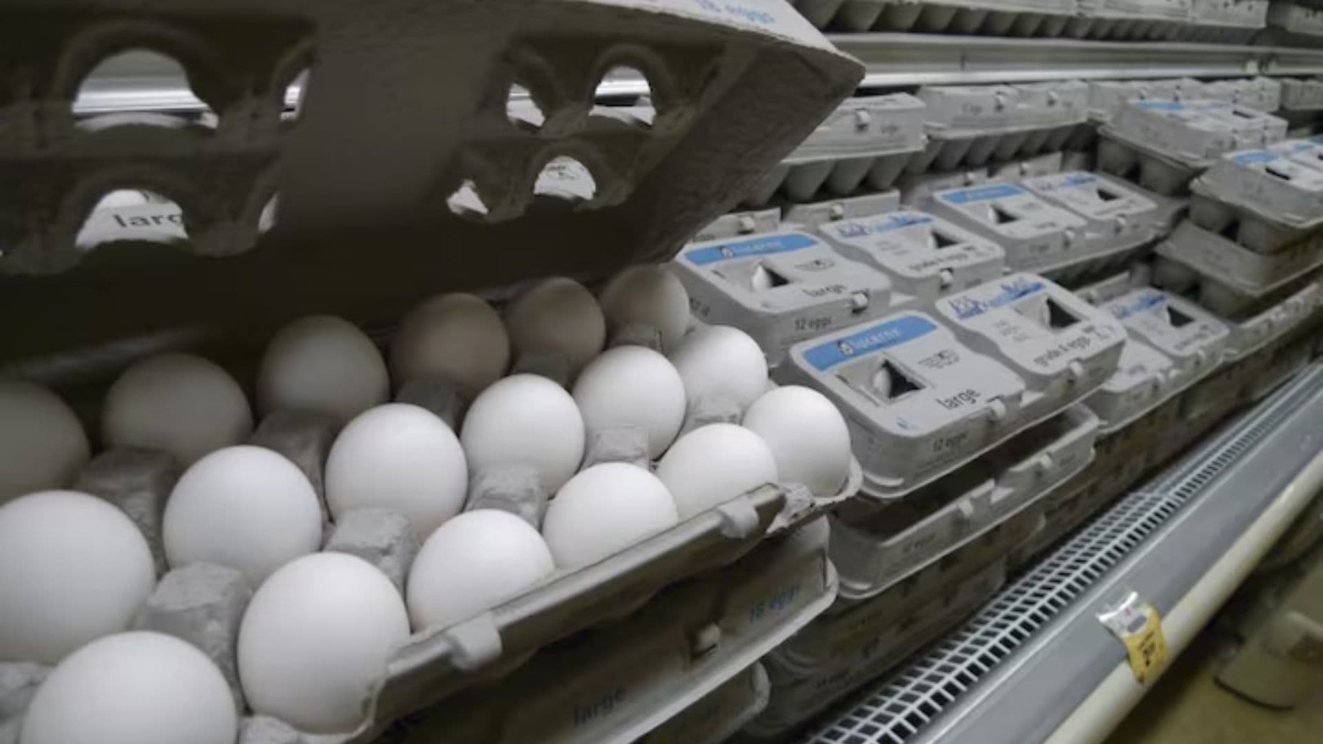 "No Consumirlos y Desecharlos", Senasica Dice Qué Hacer con Huevos de EUA con Salmonella