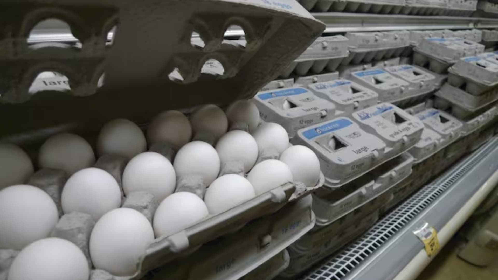 "No Consumirlos y Desecharlos", Senasica Dice Qué Hacer con Huevos de EUA con Salmonella