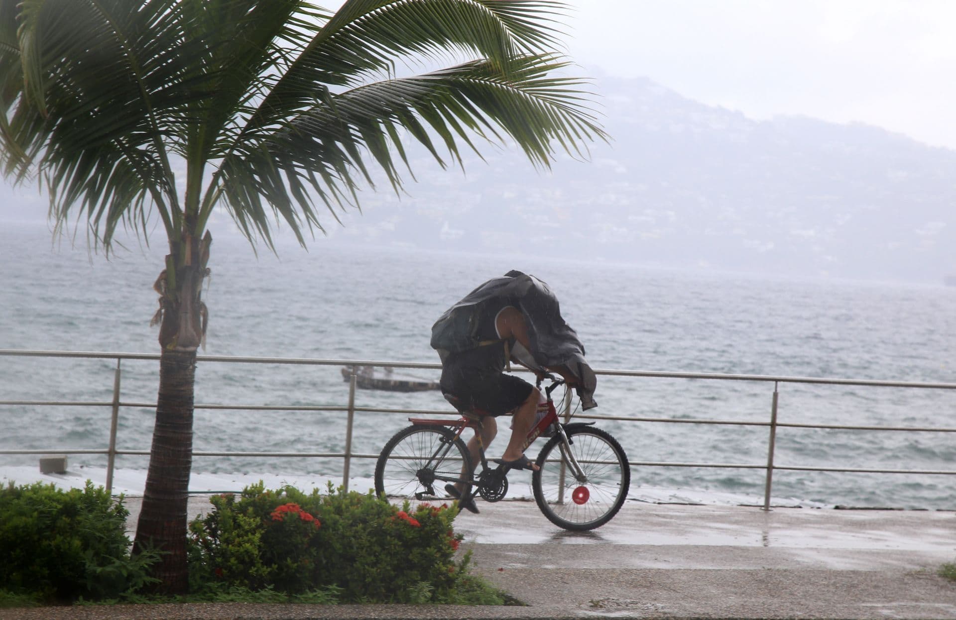 Efectos del huracán Genevieve en Acapulco, Guerrero