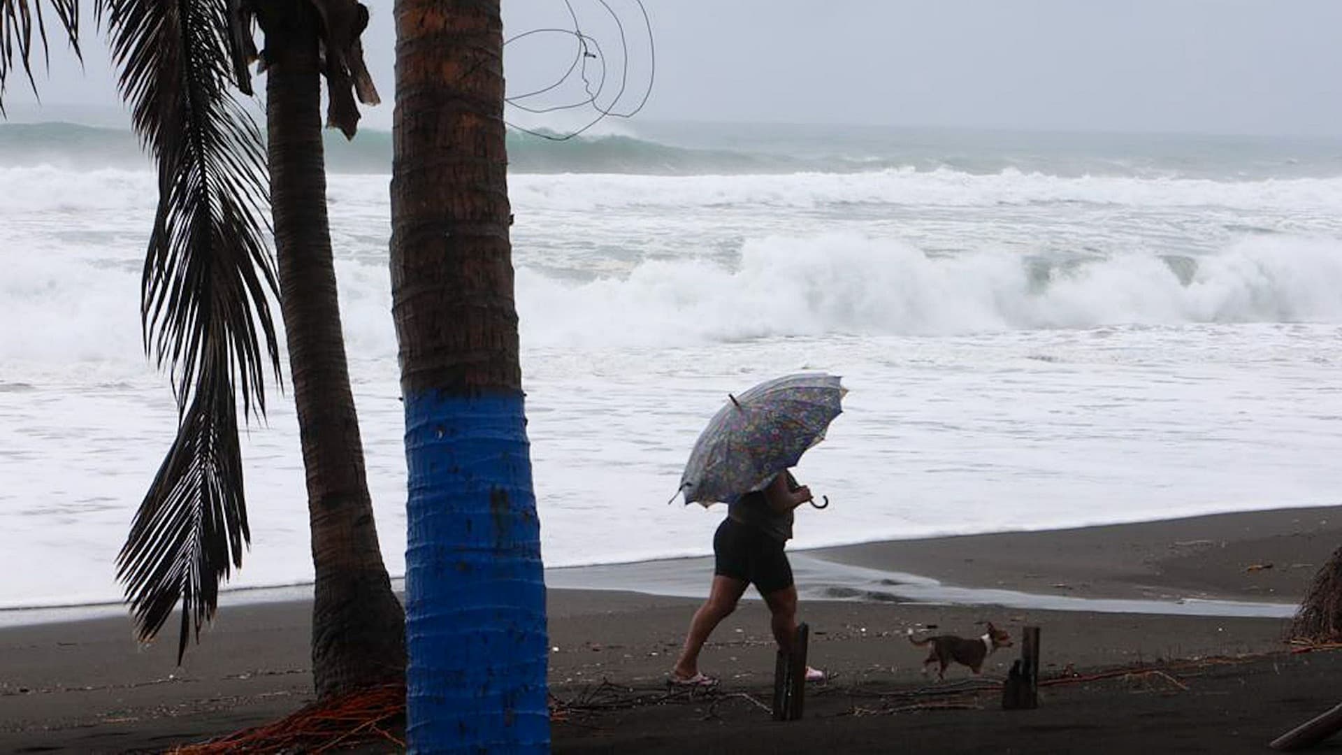 Afectaciones del huracán Simon en Colima en octubre 2026. Foto: Cuartoscuro | Archivo