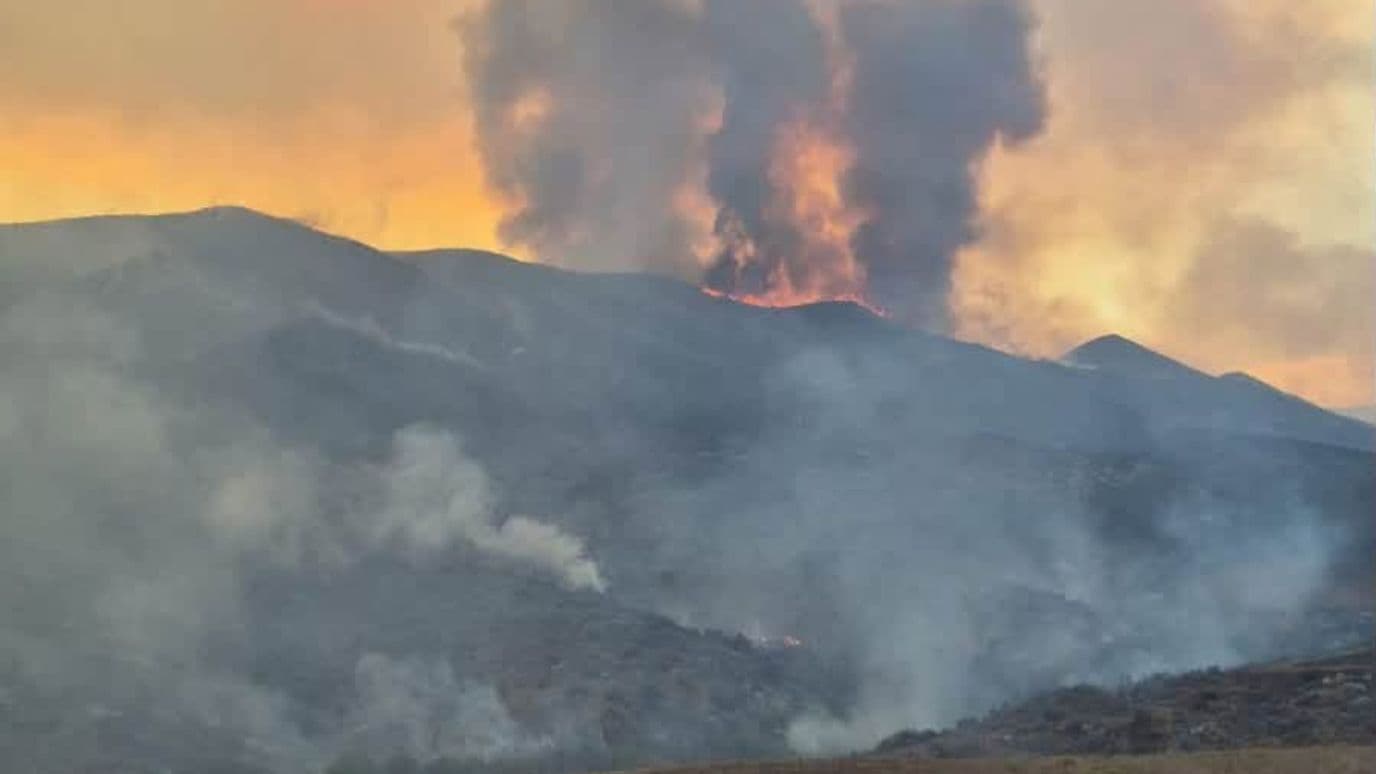 Incendio Afecta 15 Hectáreas de Vegetación en Arroyo San Simón de San Quintín