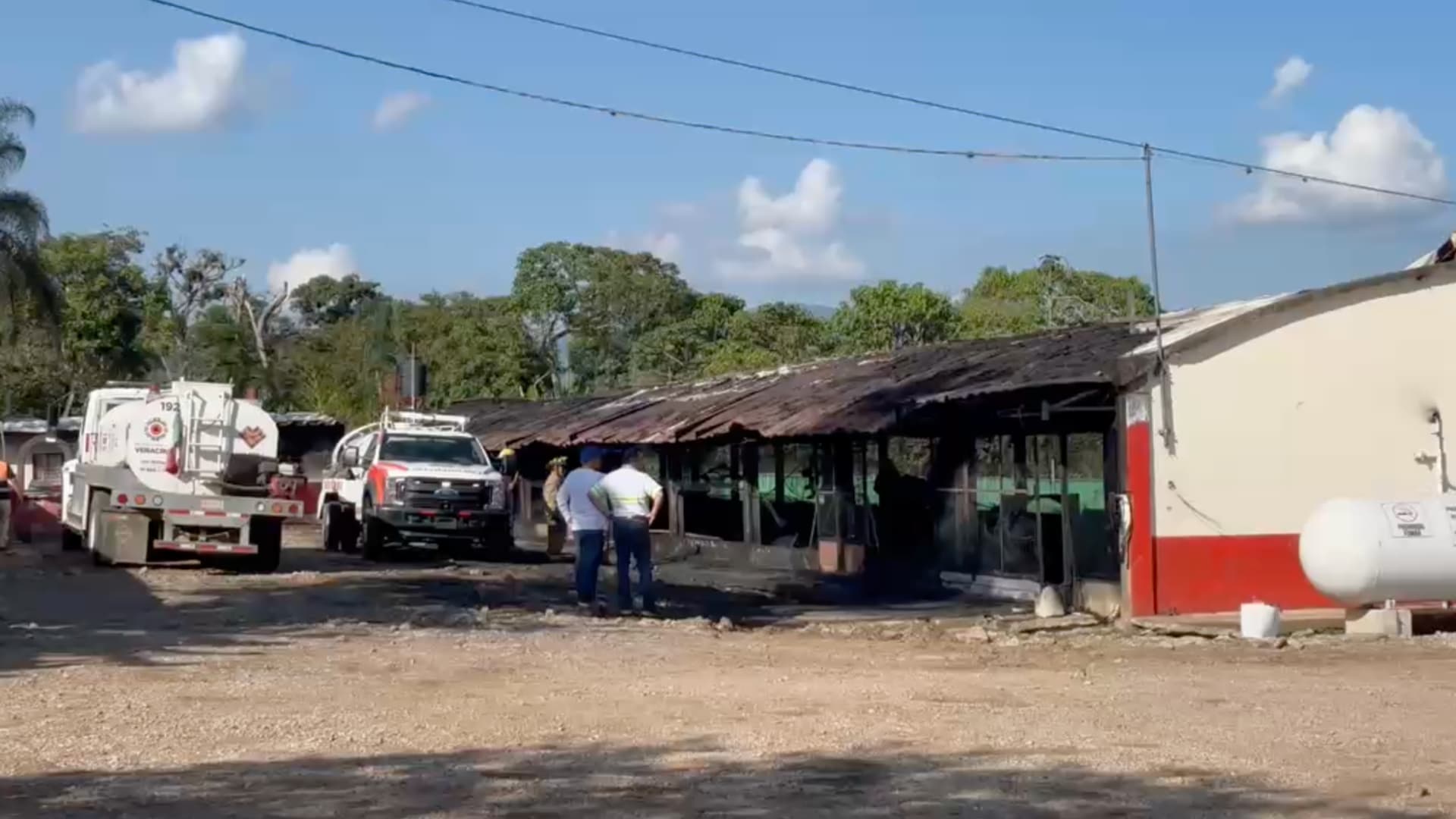 Incendio en Granja Avícola Moviliza a Cuerpos de Emergencias en la Carretera Fortín-Huatusco