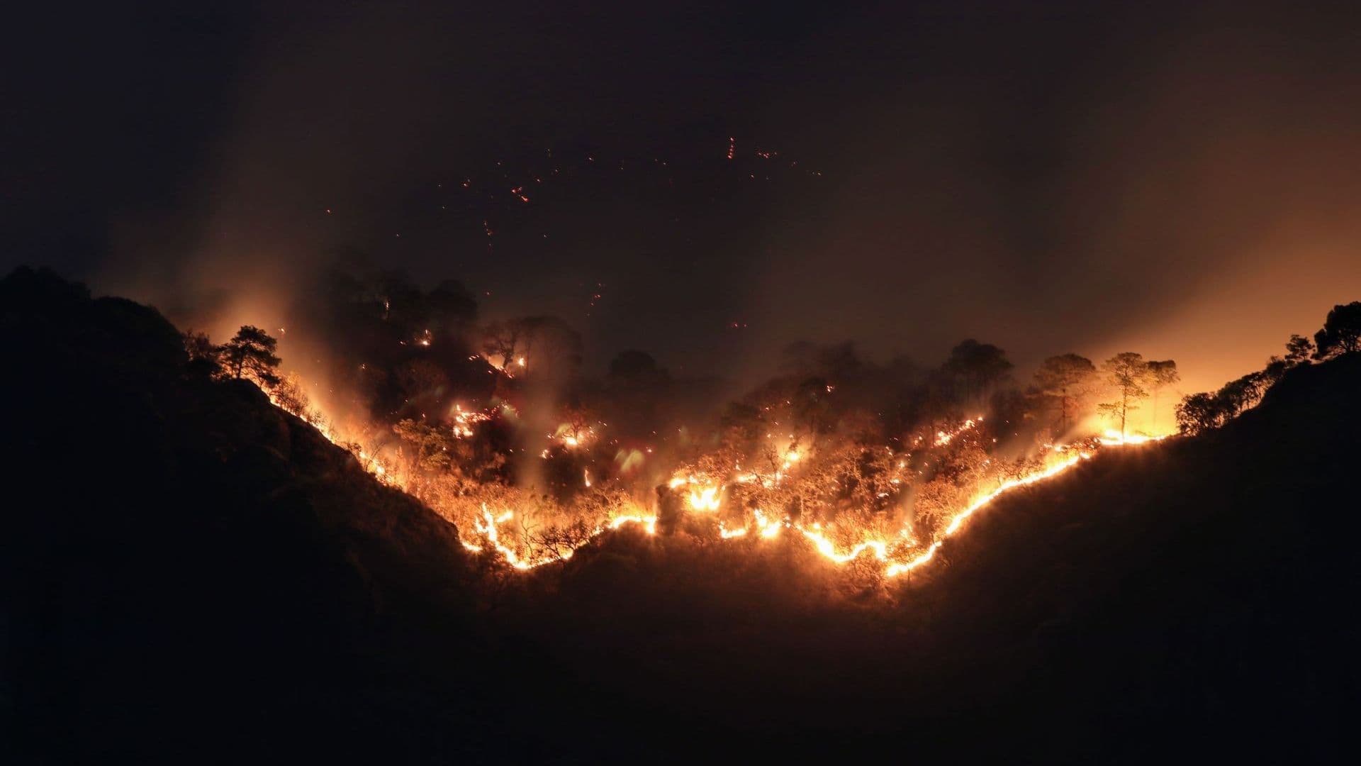 Incendio forestal en Tepoztlán, Morelos