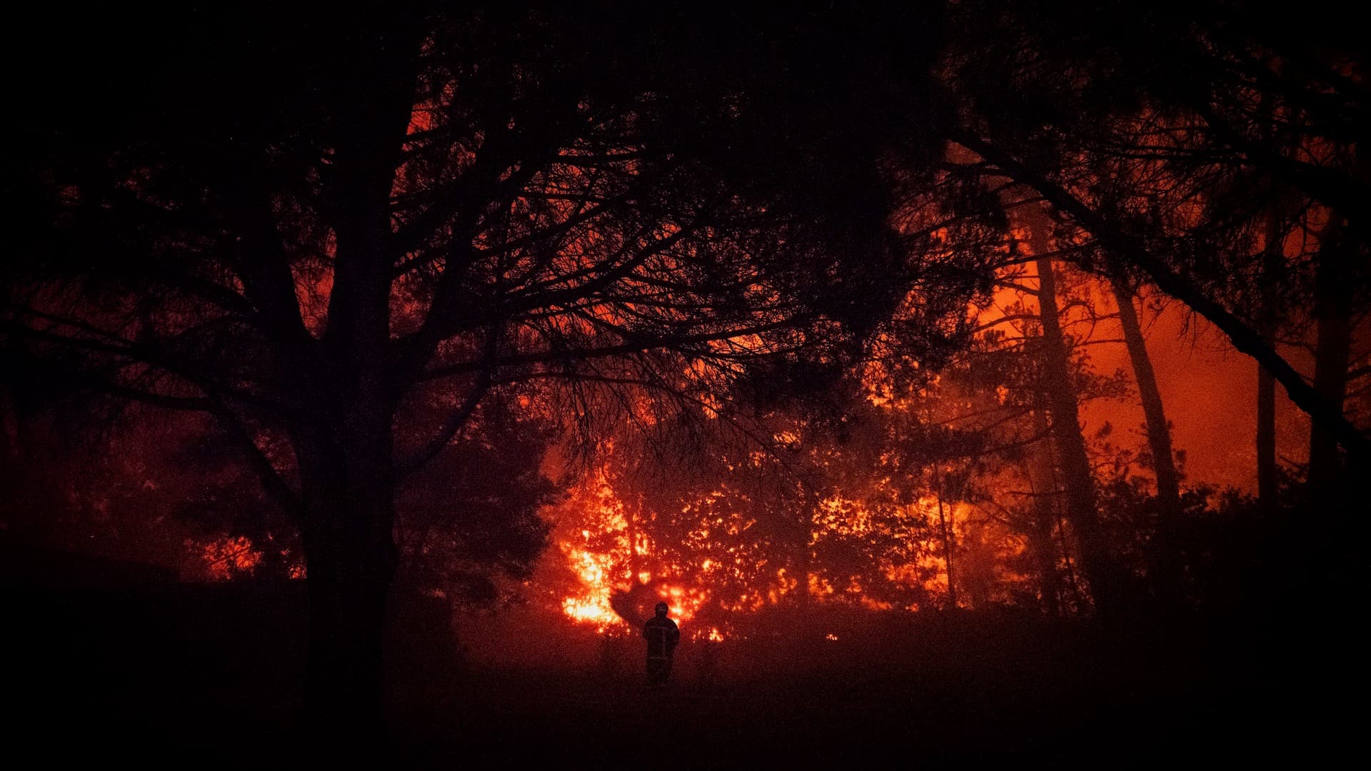 Incendio forestal en Burdeos
