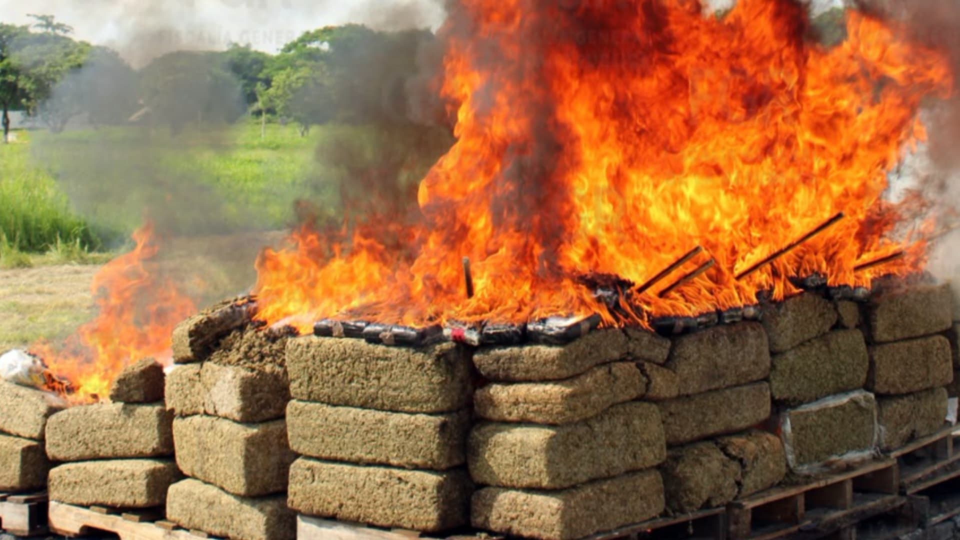 Las autoridades realizaron incineración de droga y máquinas en Veracruz. Foto: FGR