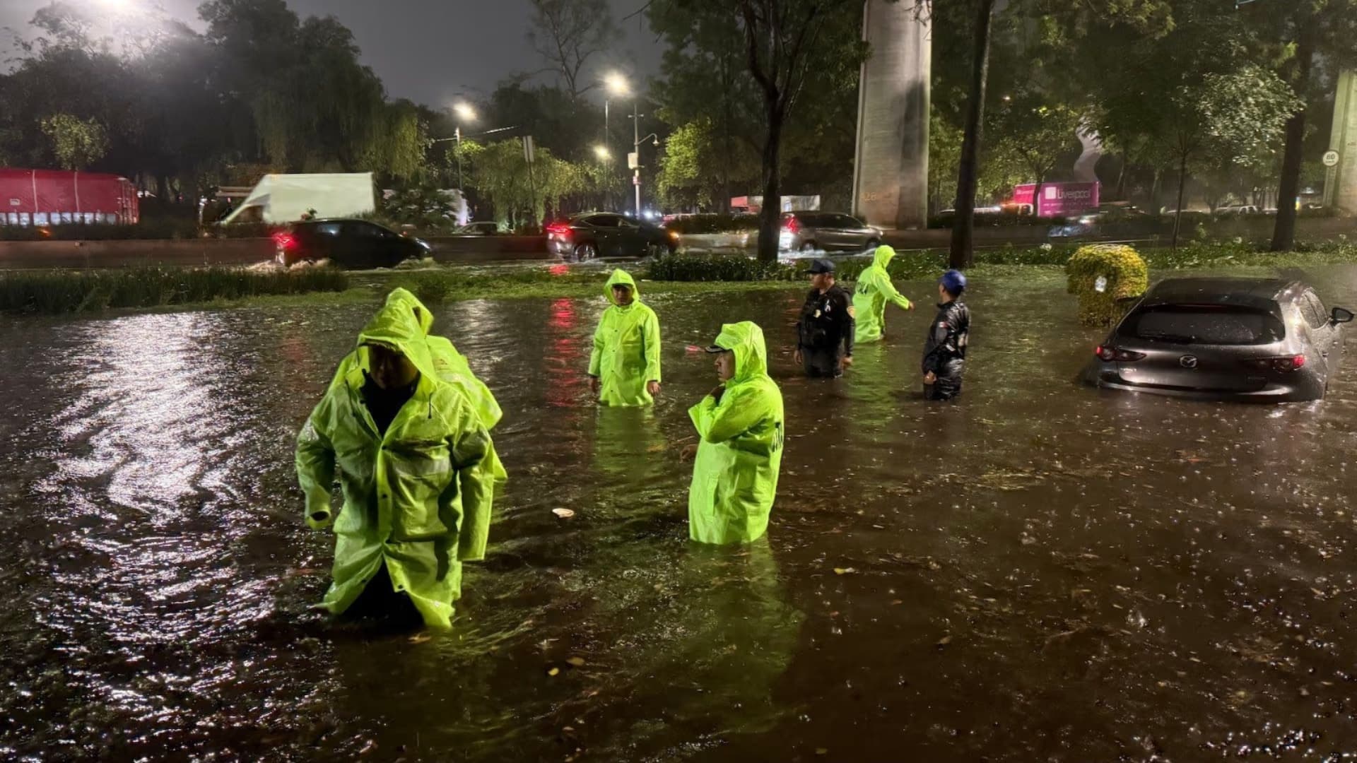 Fuertes Lluvias en la CDMX Dejan al Menos 89 Árboles Caídos y 20 Encharcamientos