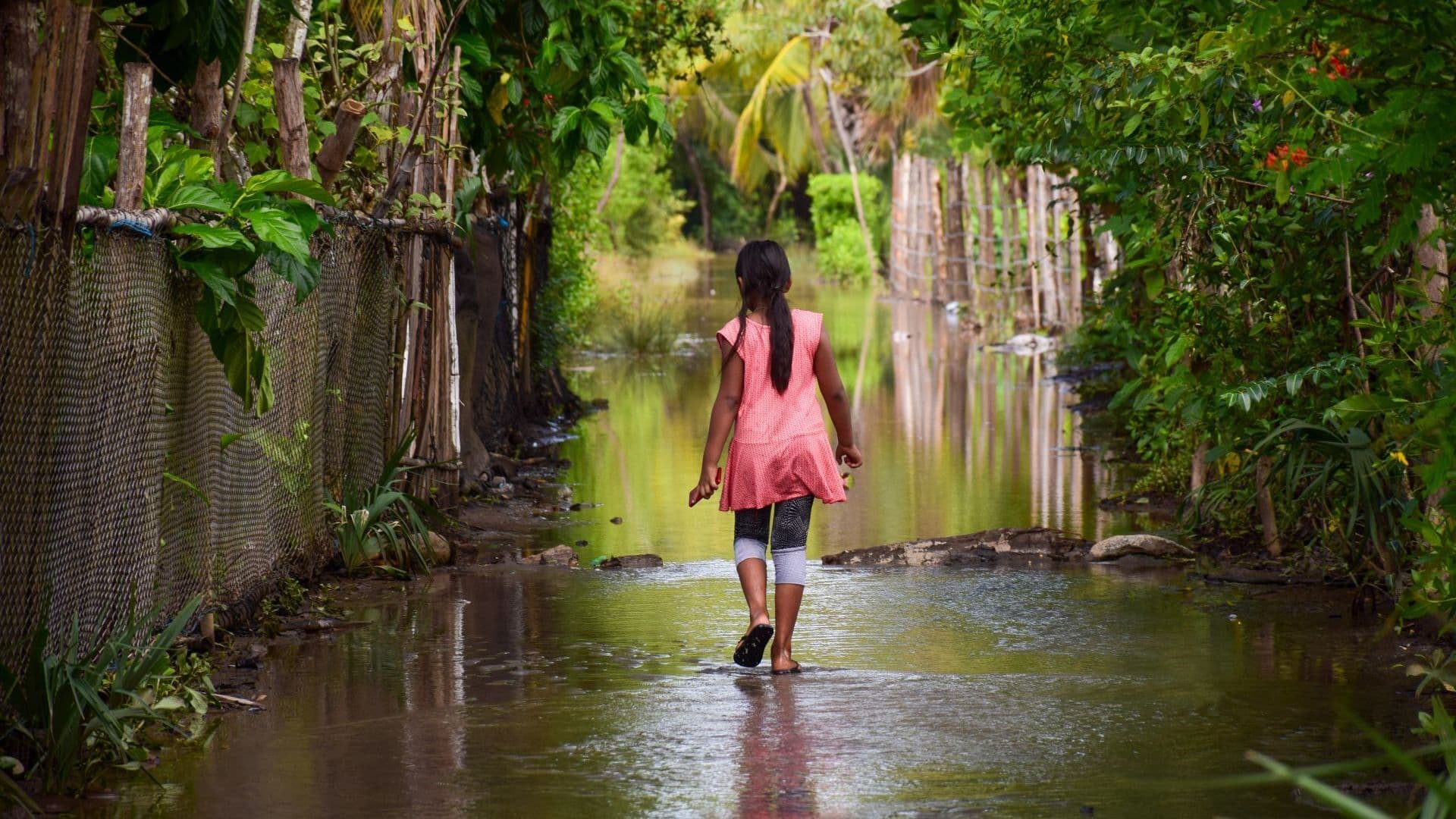 Inundaciones en Chiapas
