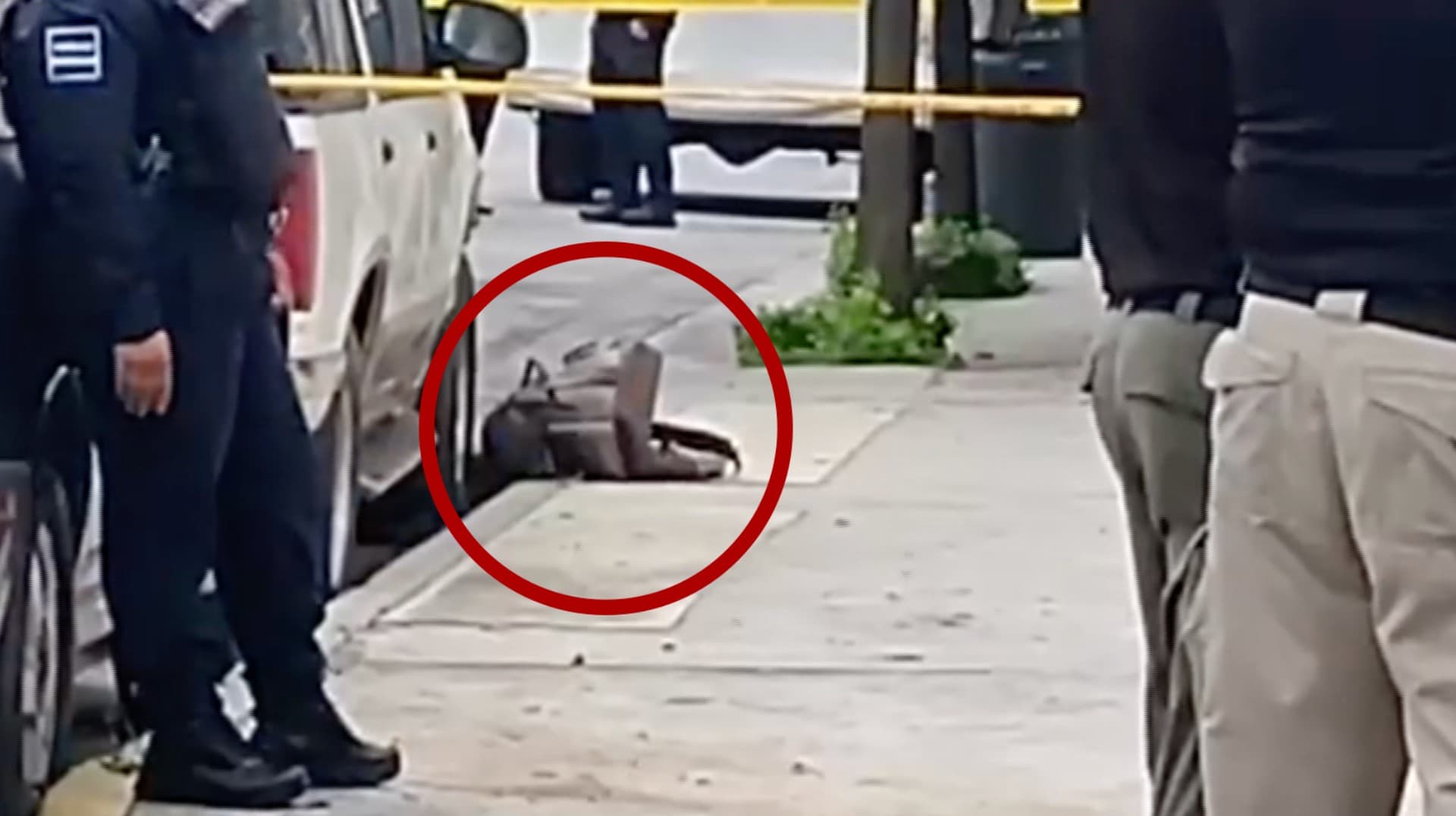 Bolsos robados de Karely Ruiz en San Nicolás, Nuevo León
