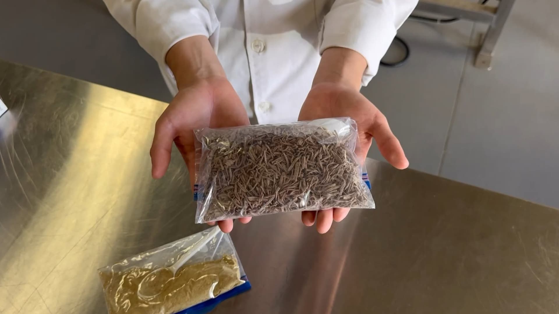 Estudiante de Ensenada Desarrolla Sopa con Harina de Larva de Mosca Soldado Negro