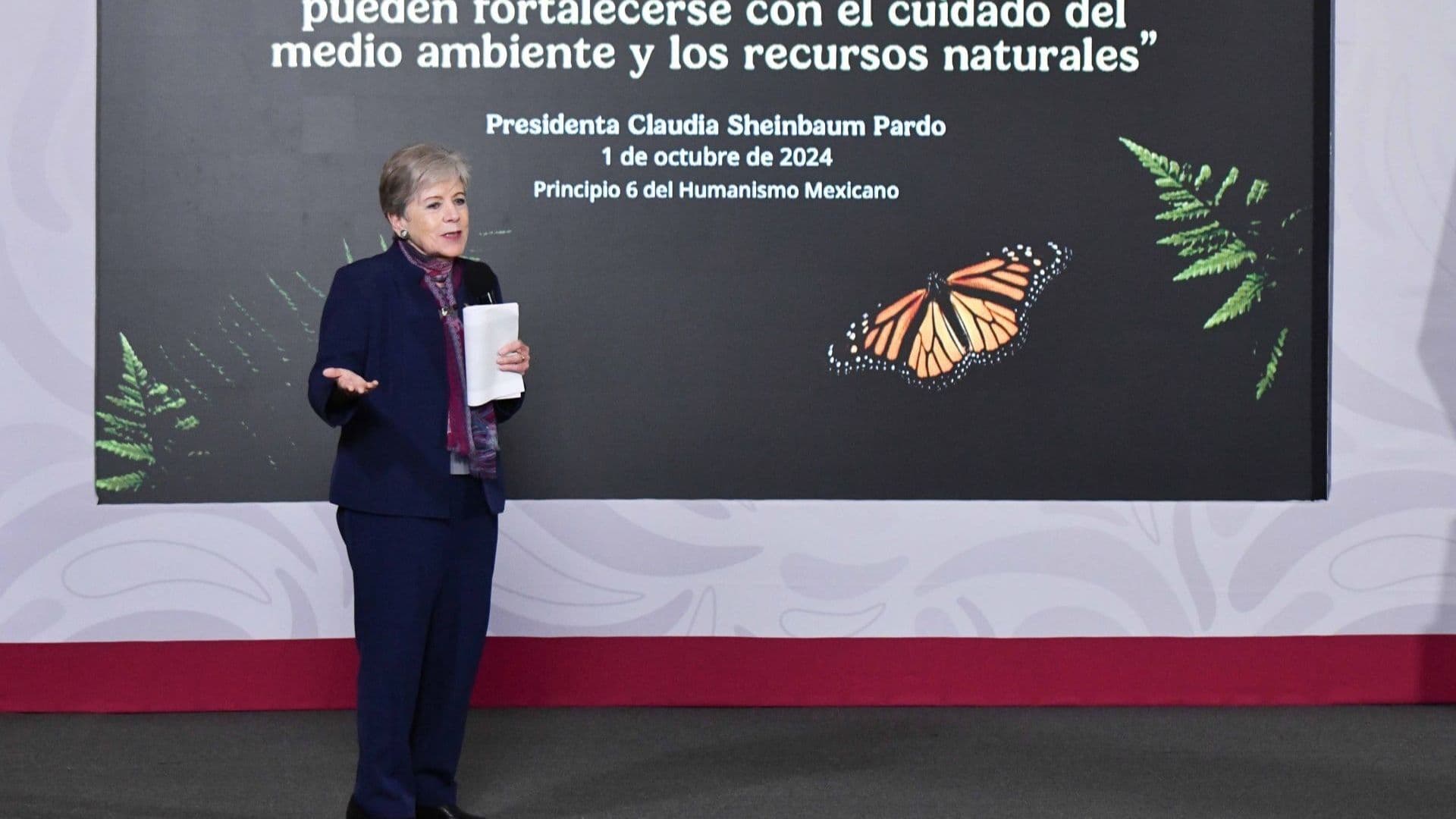 Alicia Bárcena, secretaria del Medio Ambiente y Recursos Naturales