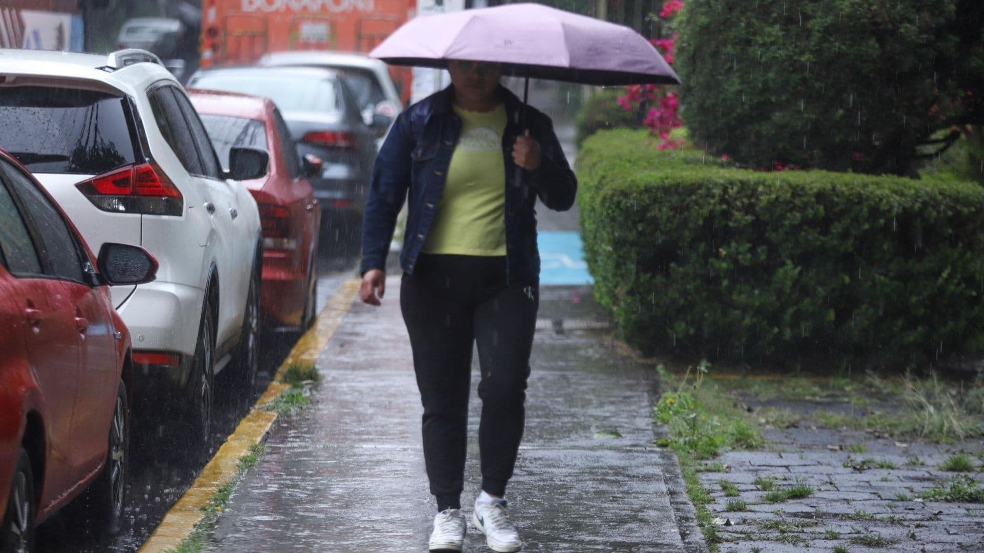 Lluvia en la CDMX