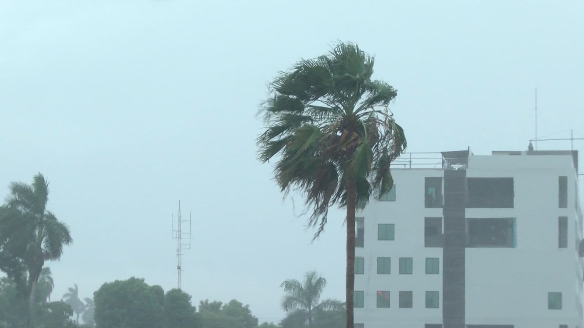 Prevén rachas de viento de hasta 80 km/h