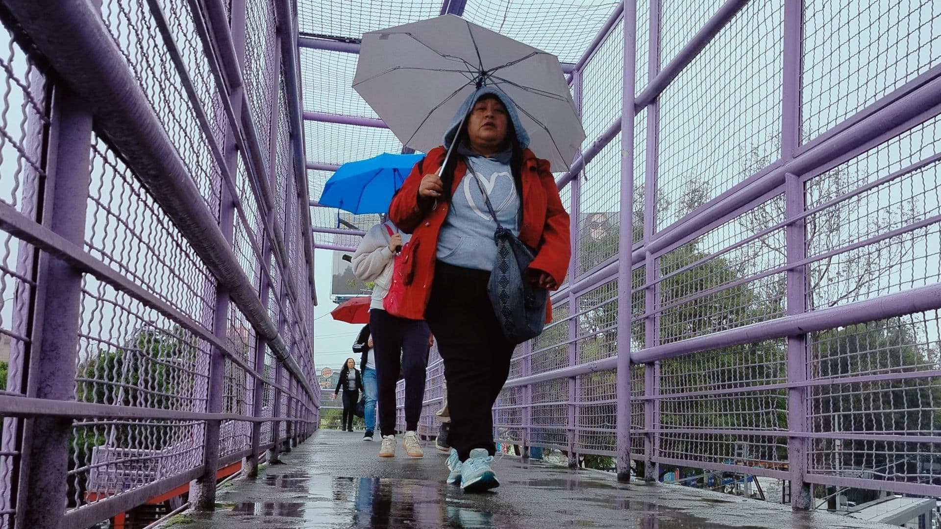 Personas se proteger con paraguas de la lluvia al sur de la CDMX el 6 de septiembre de 2026. Foto: Cuartoscuro