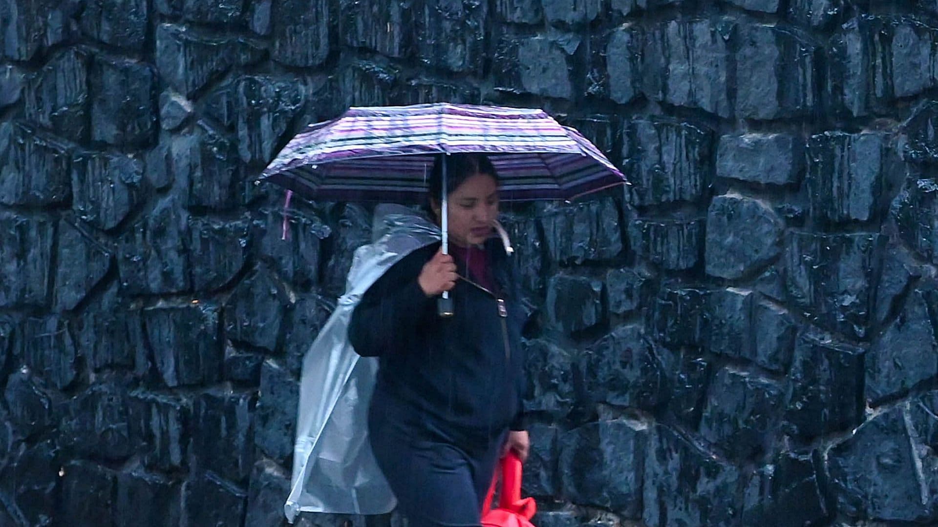 Una mujer se protege con un paraguas de la lluvia intensa en el Bosque de Chapultepec en agosto 2026. Foto: Cuartoscuro | Archivo