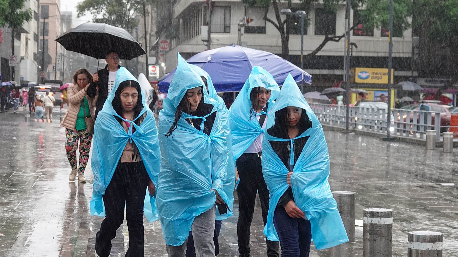 Grupo de personas se cubre con impermeables azules ante fuertes lluvias en la Alameda Central, CDMX, en junio 2026. Foto: Cuartoscuro