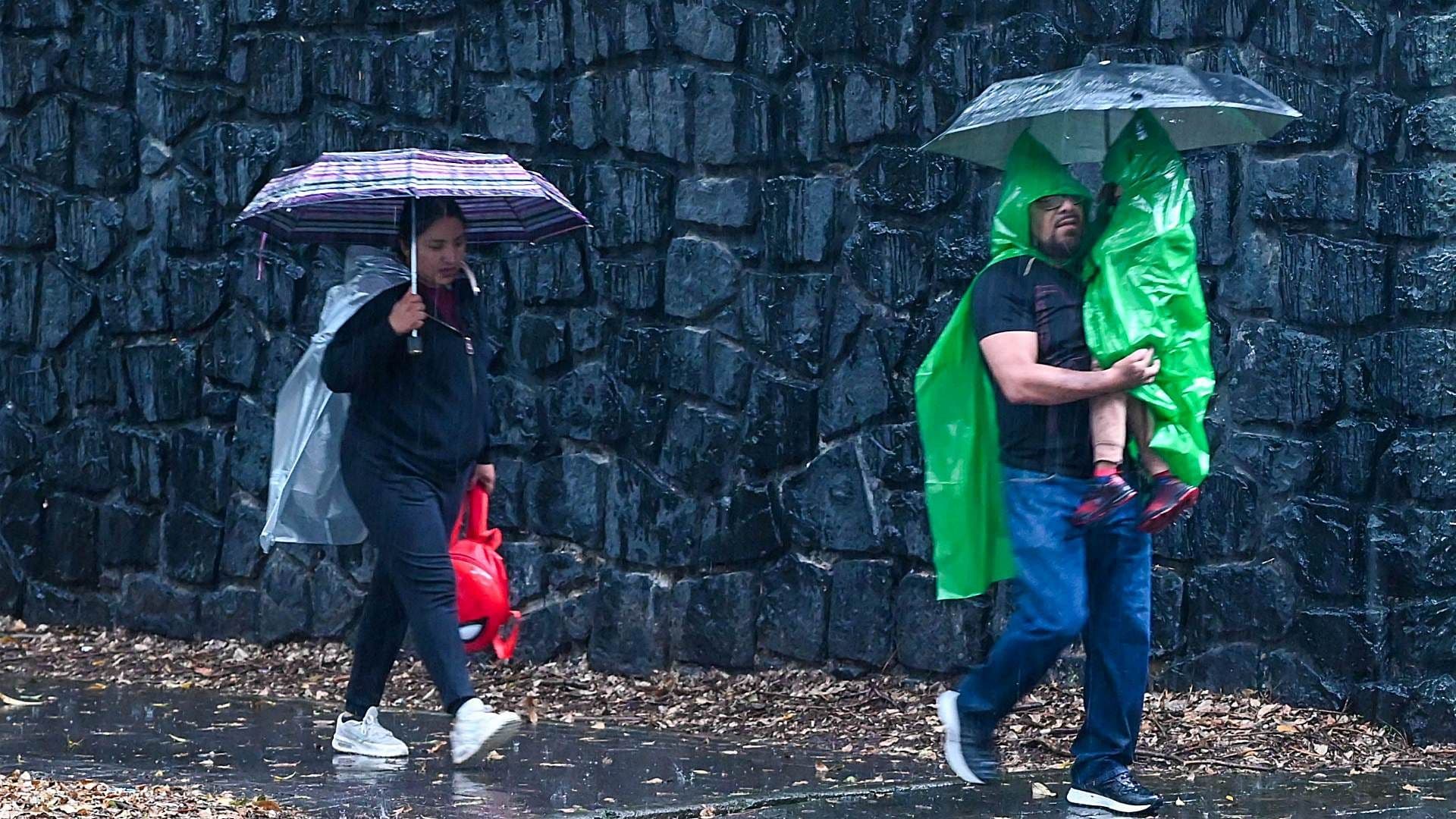 Hombre carga a su hijo y lo protege con paraguas ante lluvia intensa el 22 de agosto de 2026 en CDMX. Foto: Cuartoscuro | Archivo