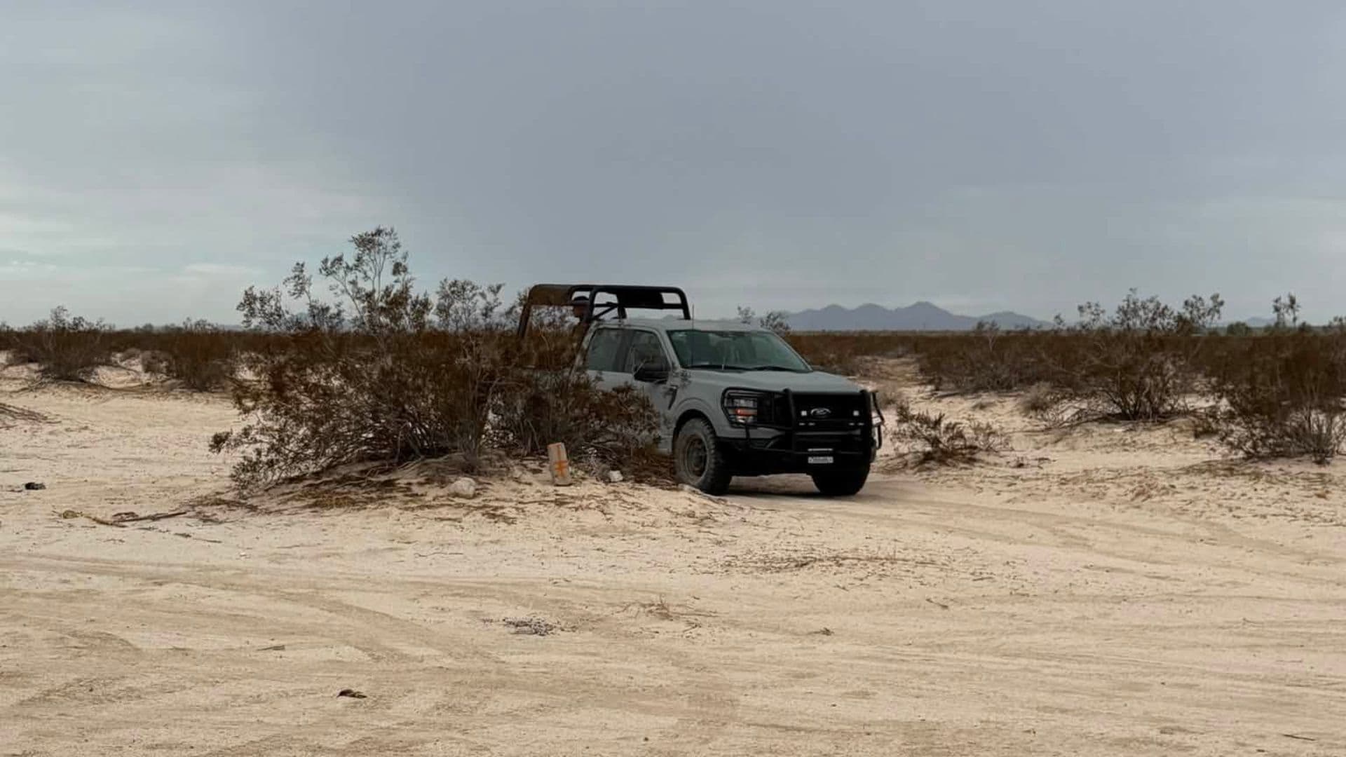 Localizan Restos Óseos Durante Jornada de Búsqueda en San Felipe, Baja California