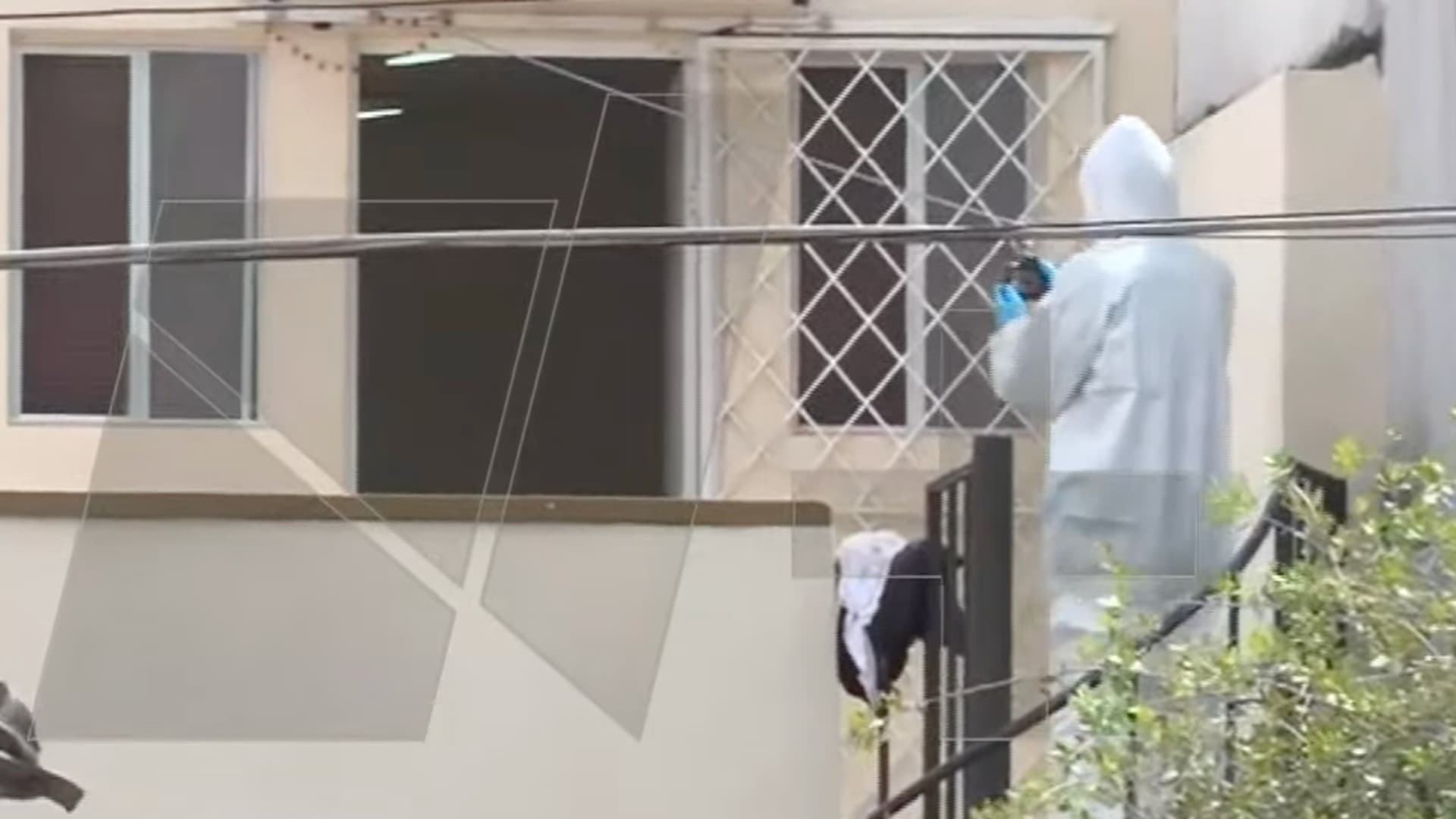 Localizan mujer sin vida en San Pedro
