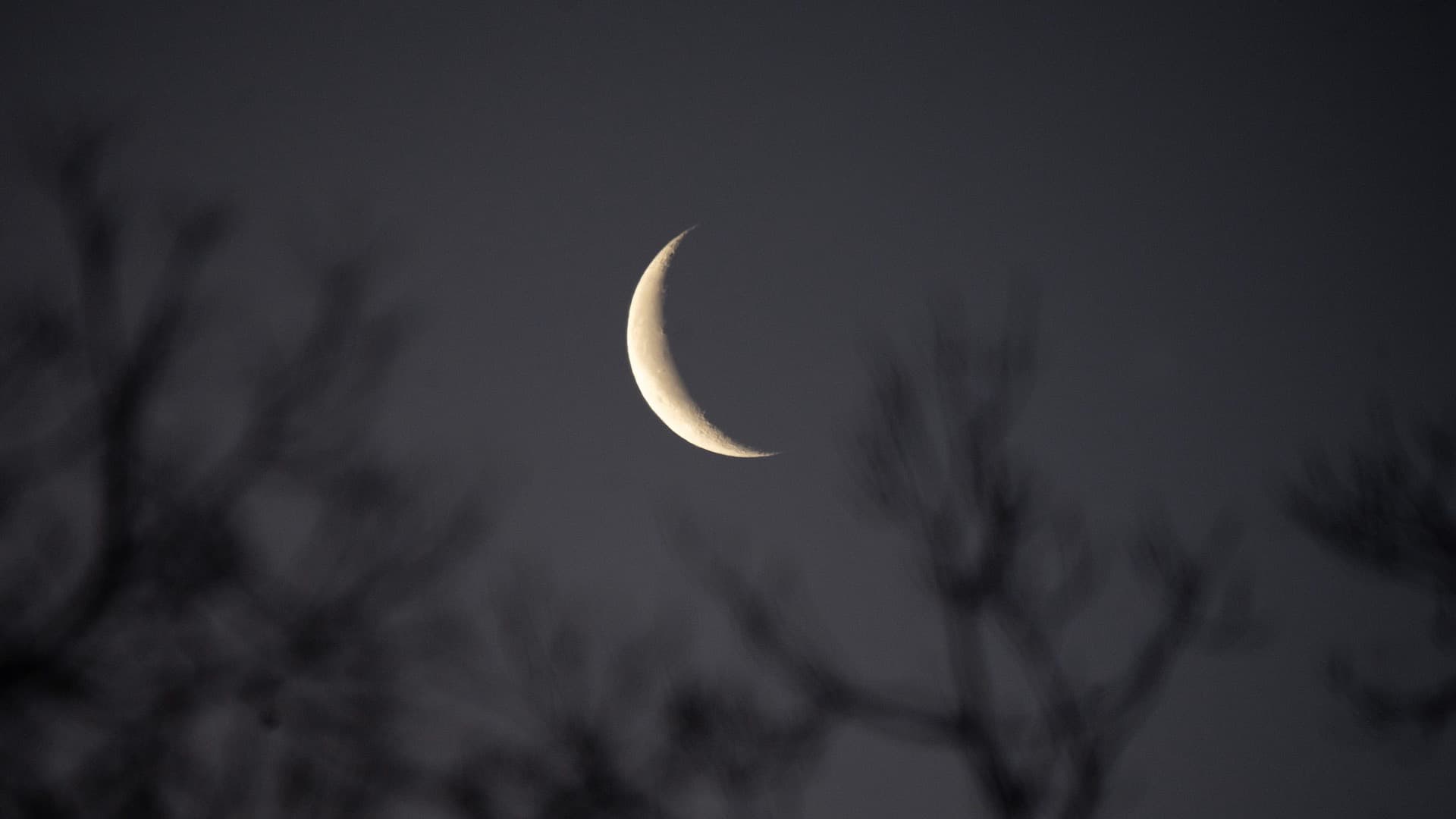 ¿Cuándo Estará la Luna en Cuarto Menguante y Qué Significa esta Parte del Ciclo Lunar?