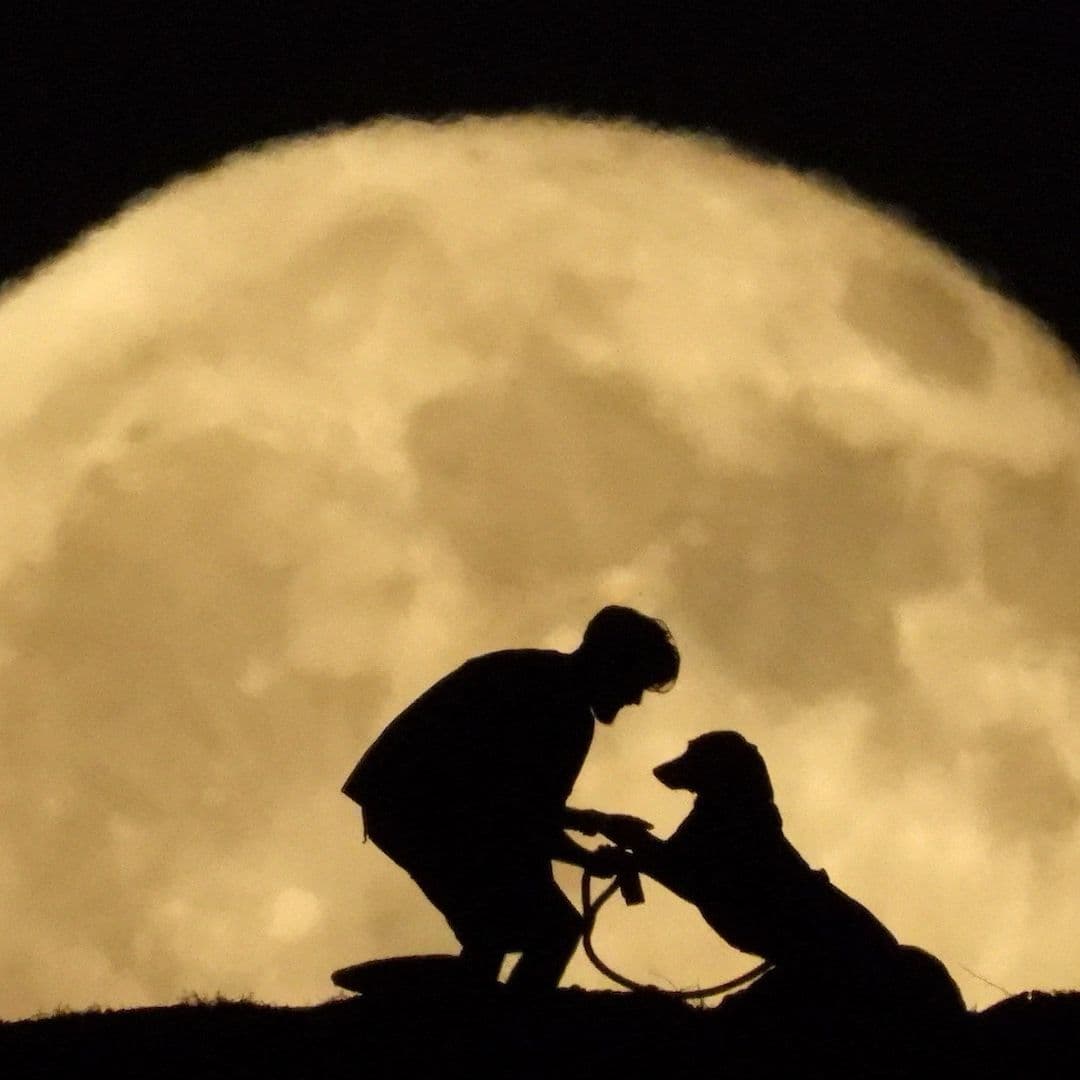 ¿Cuándo Será la Luna del Cazador de Octubre? Te Decimos Qué Significa el Fenómeno Astronómico