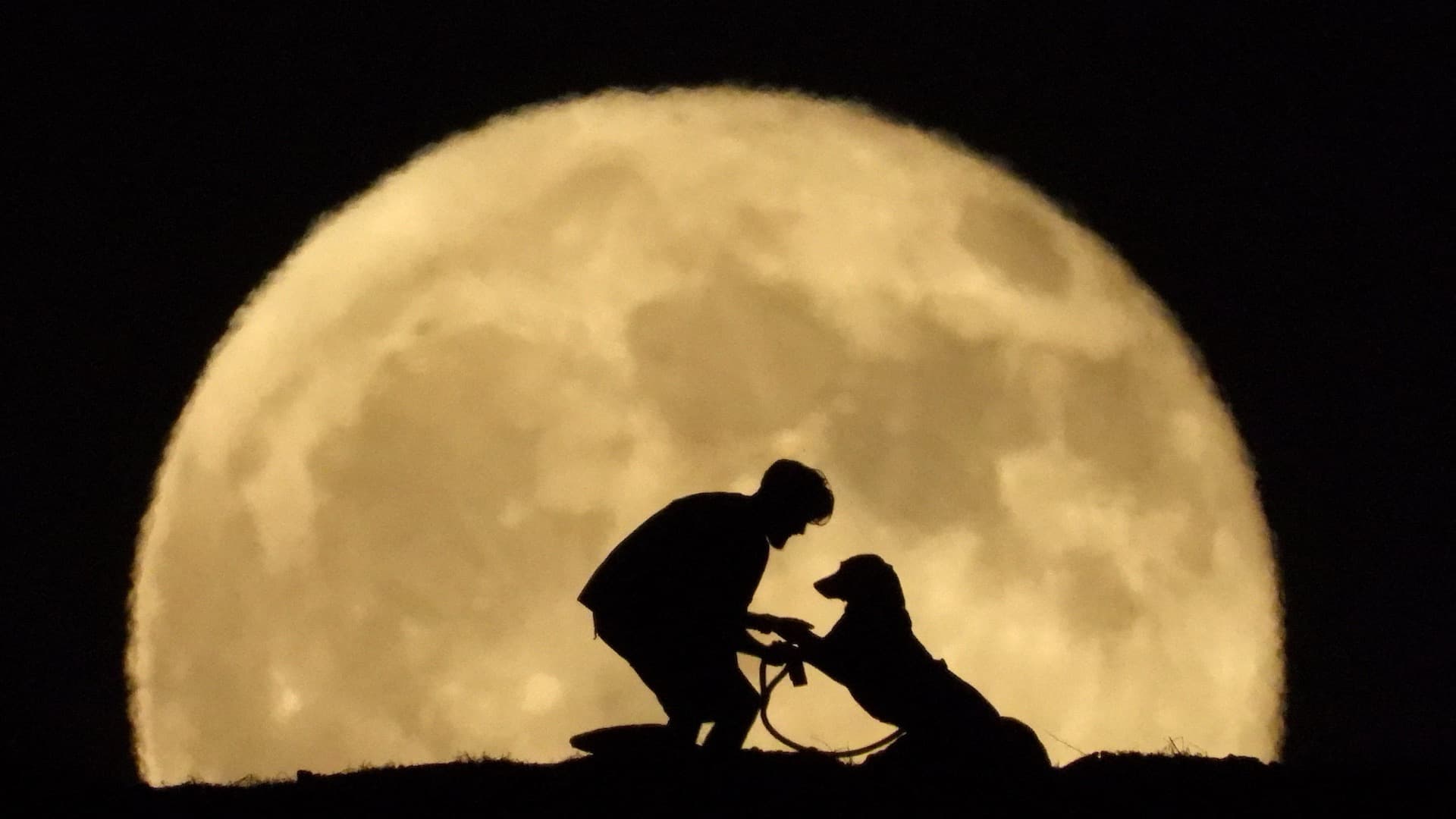Sujeto pasea a su perro bajo la luna llena