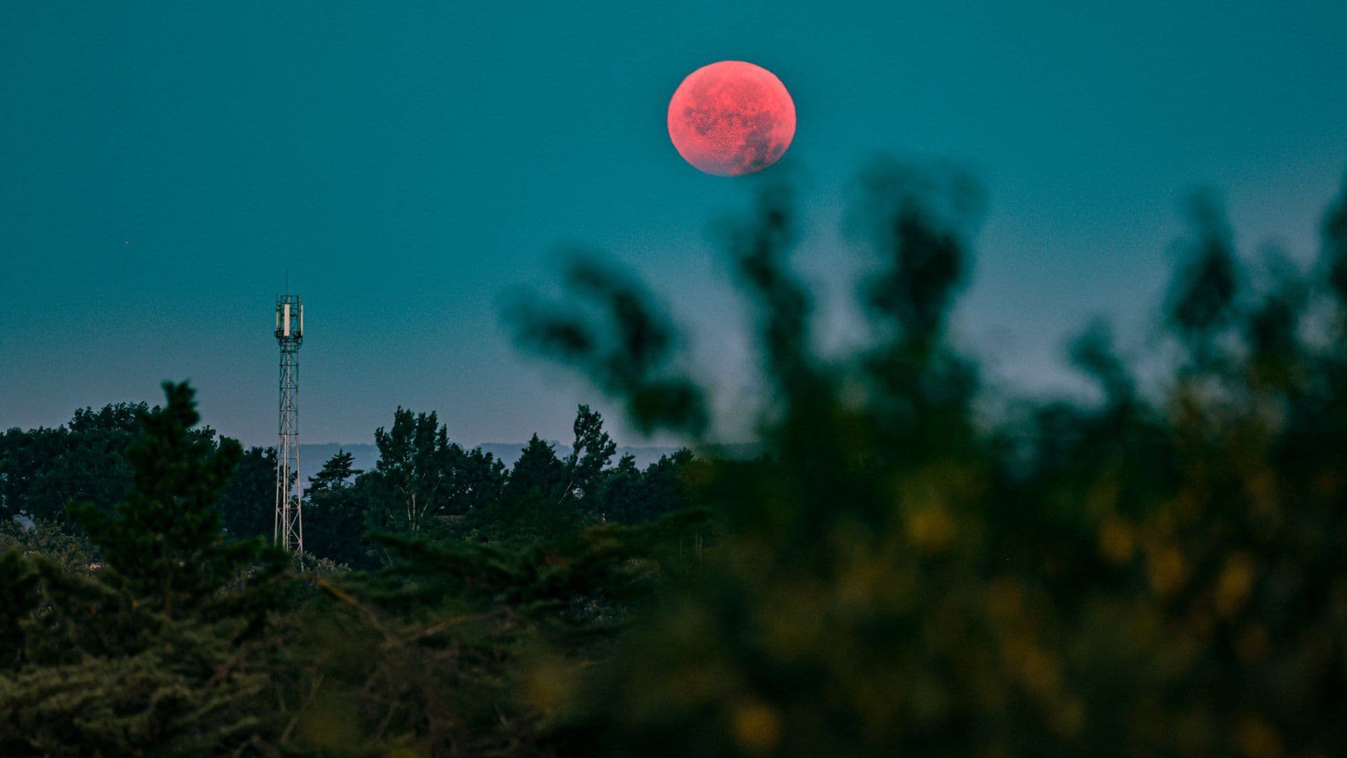 Luna roja