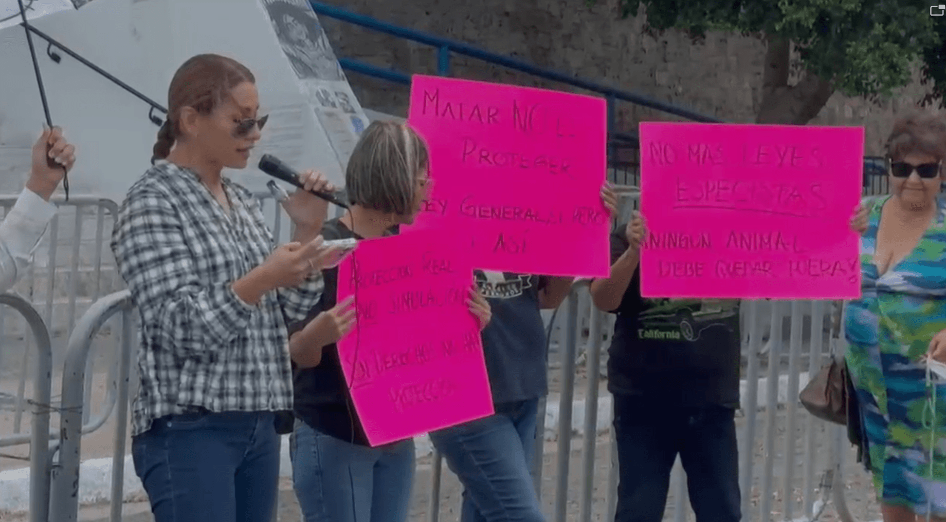 Activistas en Sonora se Manifiestan Contra la Ley de Bienestar Animal