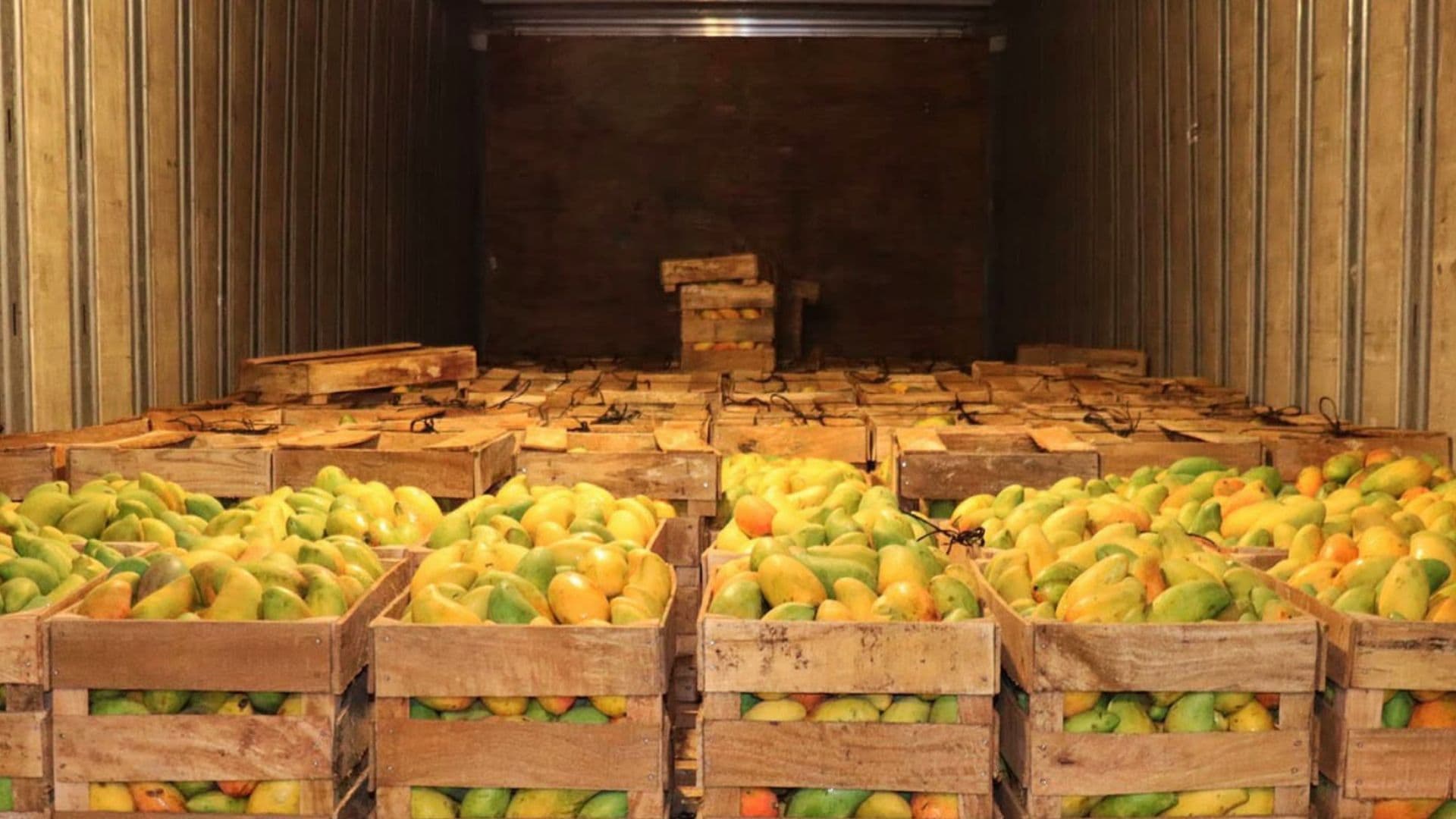Las cajas con mangos fueron retiradas de centros comerciales ante una posible contaminación