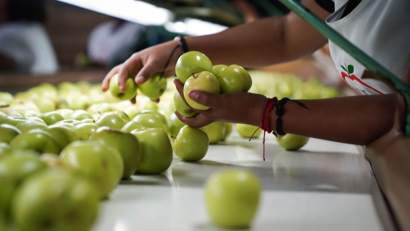 Manzanas