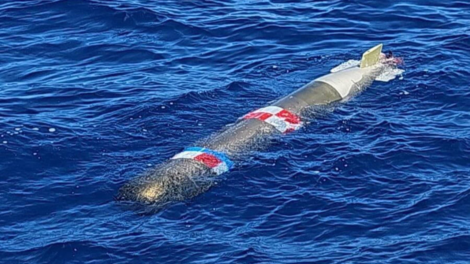 Torpedo asegurado en México