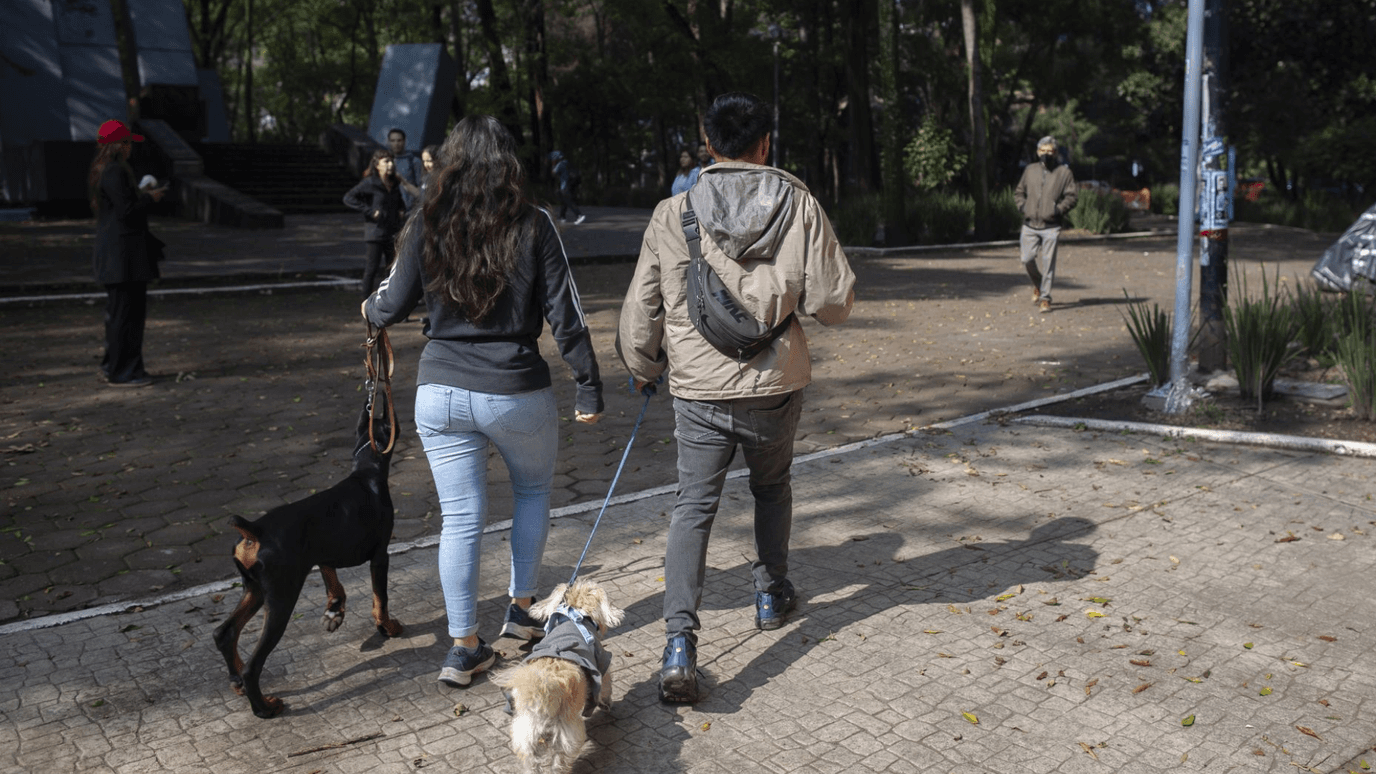 Perros y dueños en la Condesa