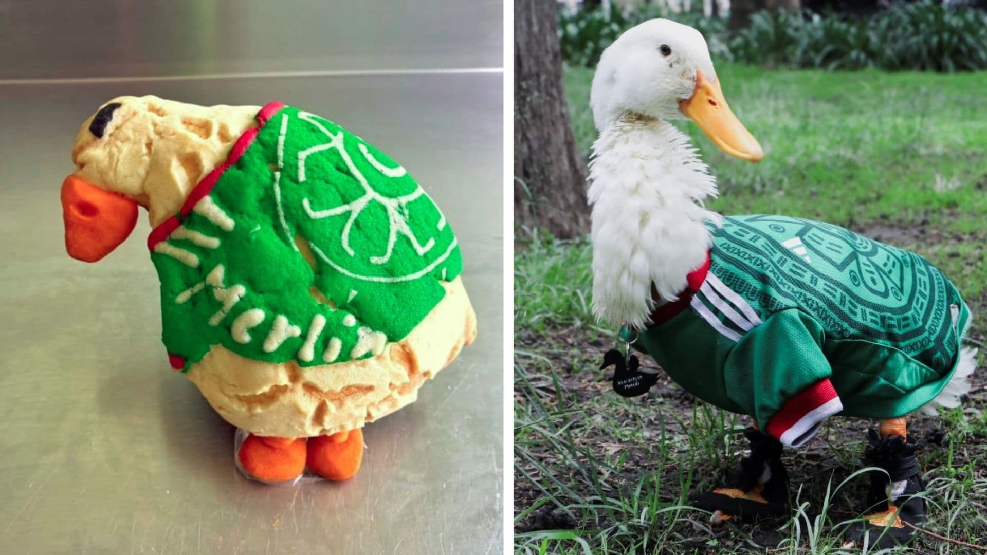 Crean “Merlinconchas” Inspiradas en Pato Merlín. ¿Dónde y Cuánto Cuestan?