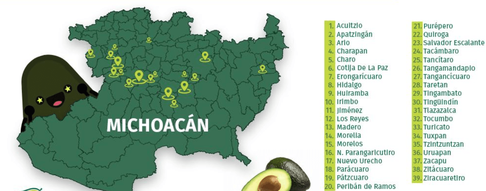 Michoacán y sus zonas donde crece el mejor aguacate del mundo. Foto: X @apeamac
