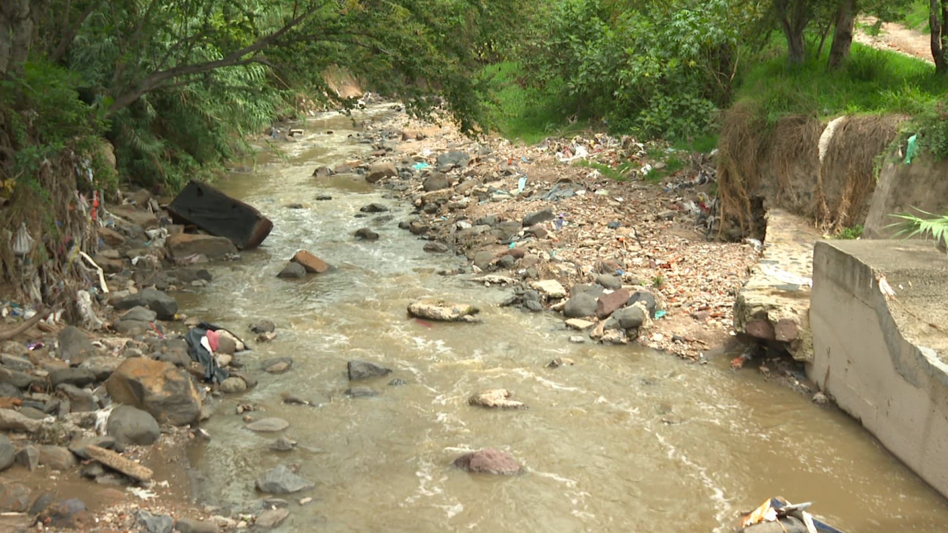 Cauce