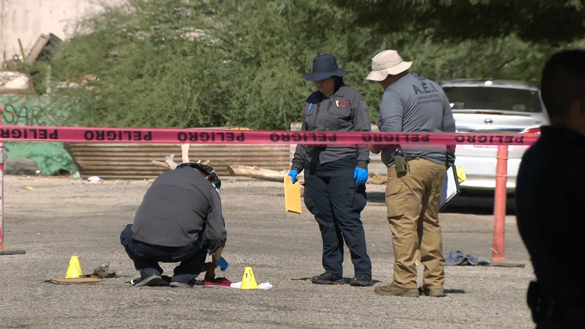 Mordeduras de Animal Causaron la Muerte de Mujer en Mexicali: SEMEFO