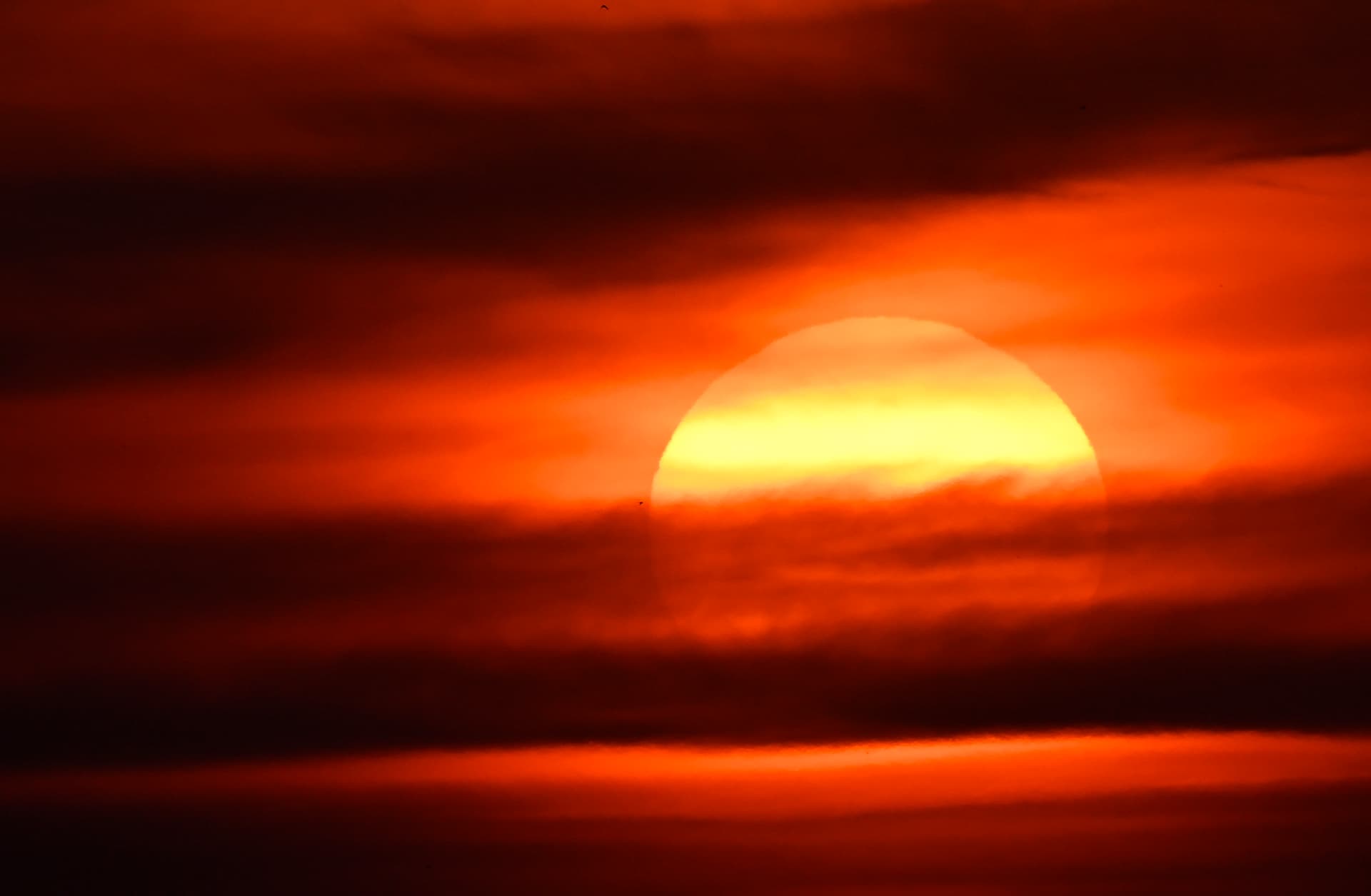 Muertes por ola de calor en Europa