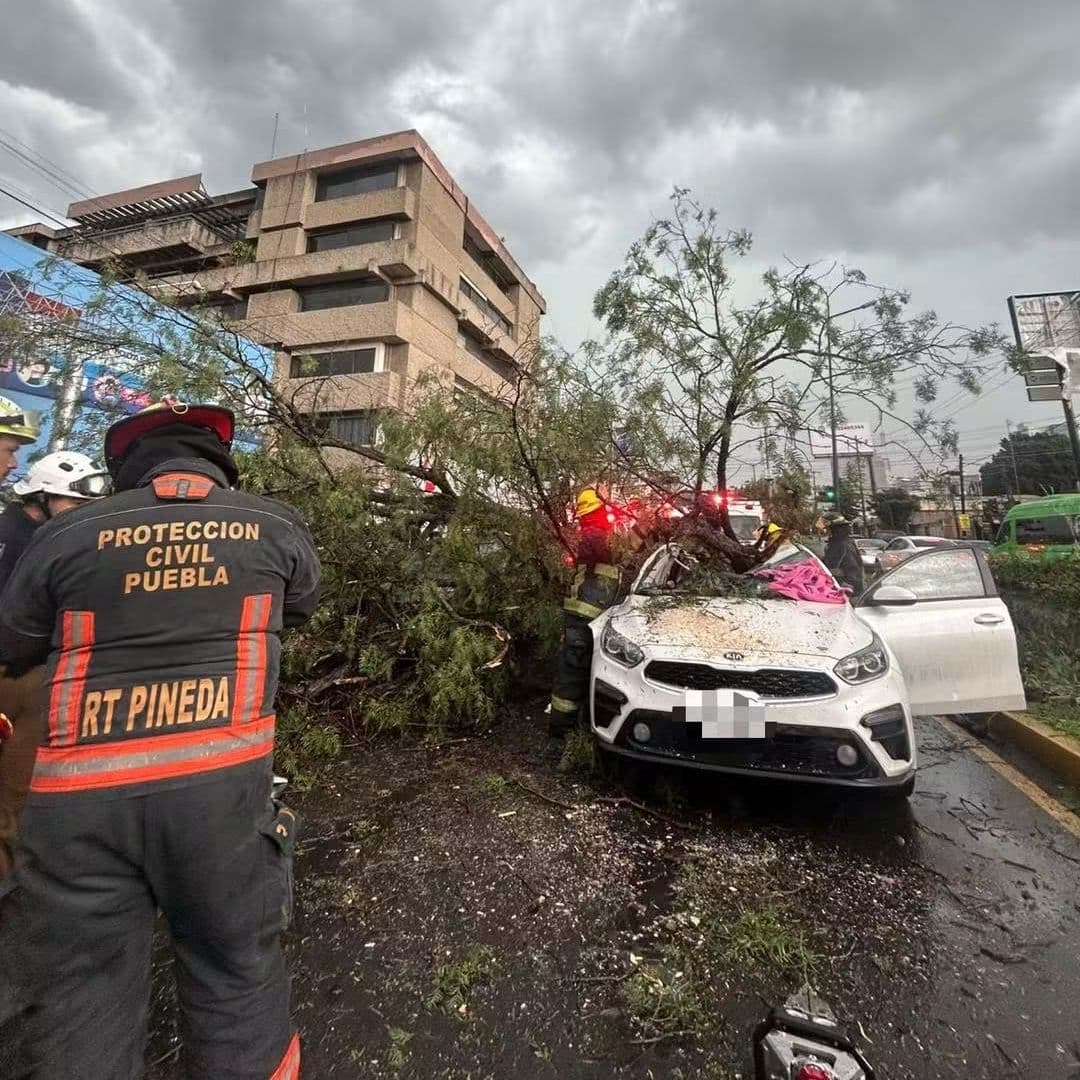 La víctima viajaba en el coche que resultó aplastado.
