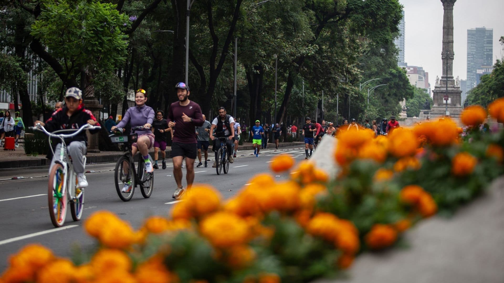 Reforma con decoración por el Mundial 2026