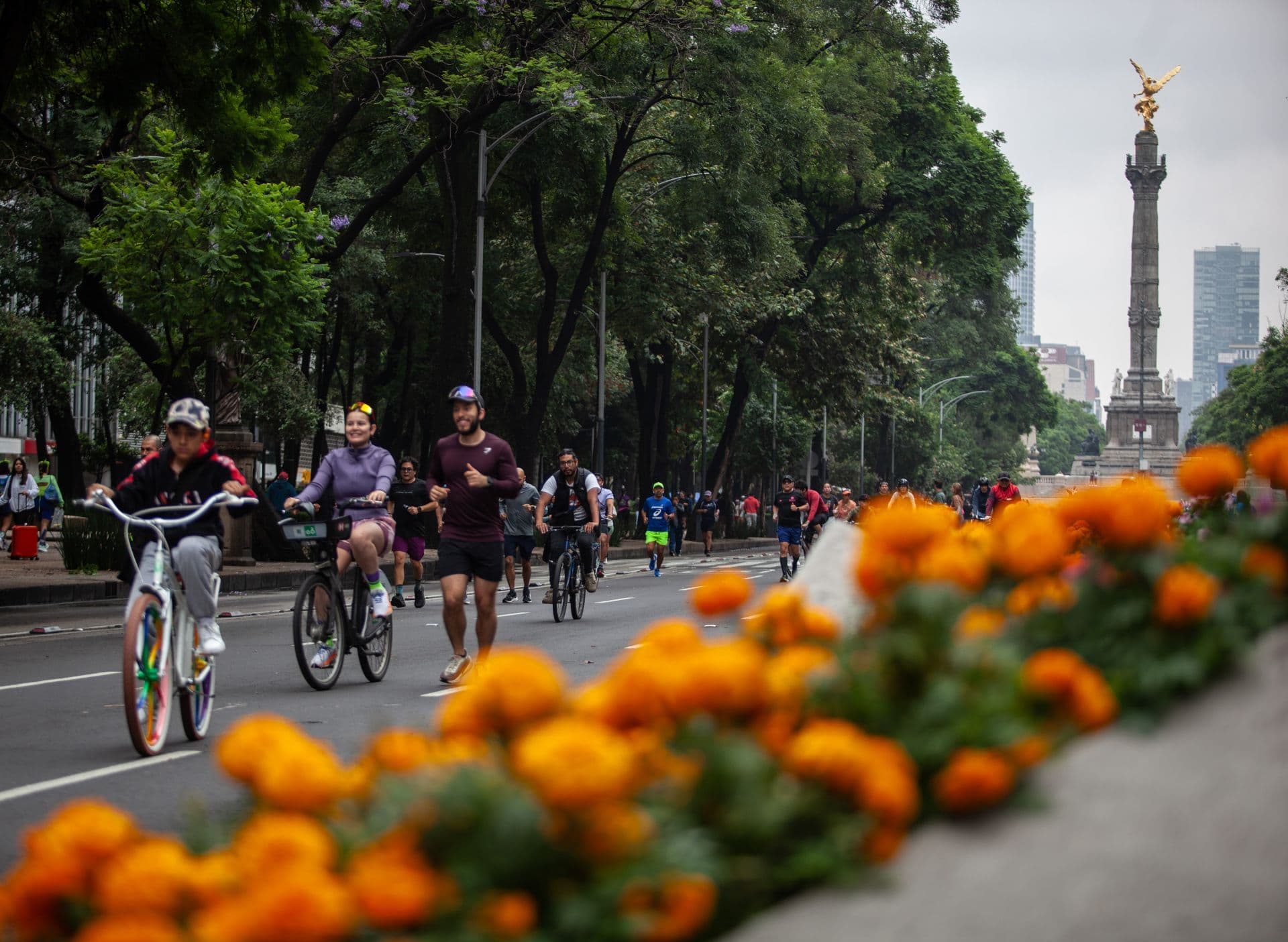 Reforma con decoración por el Mundial 2026