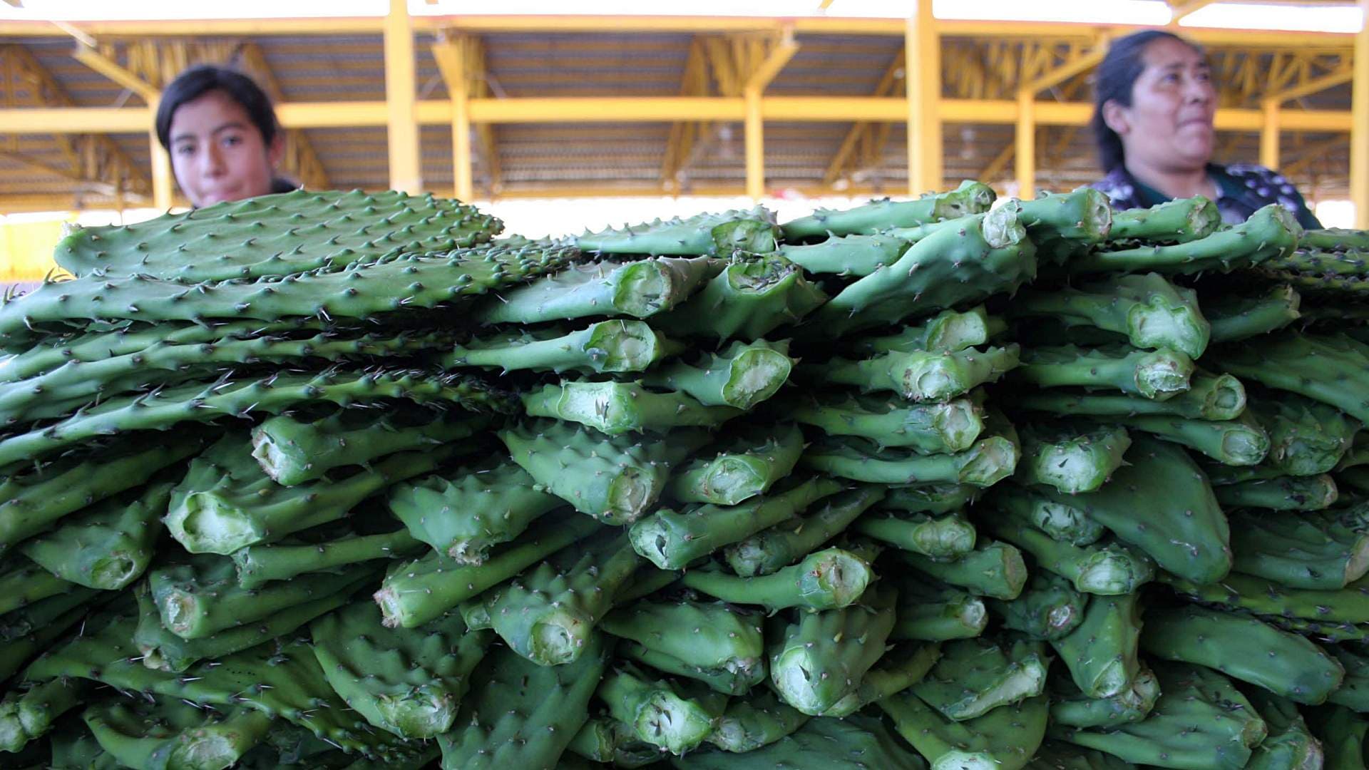 Muestra gastronómica del nopal en Milpa Alta en noviembre 2009. Foto: Cuartoscuro | Archivo