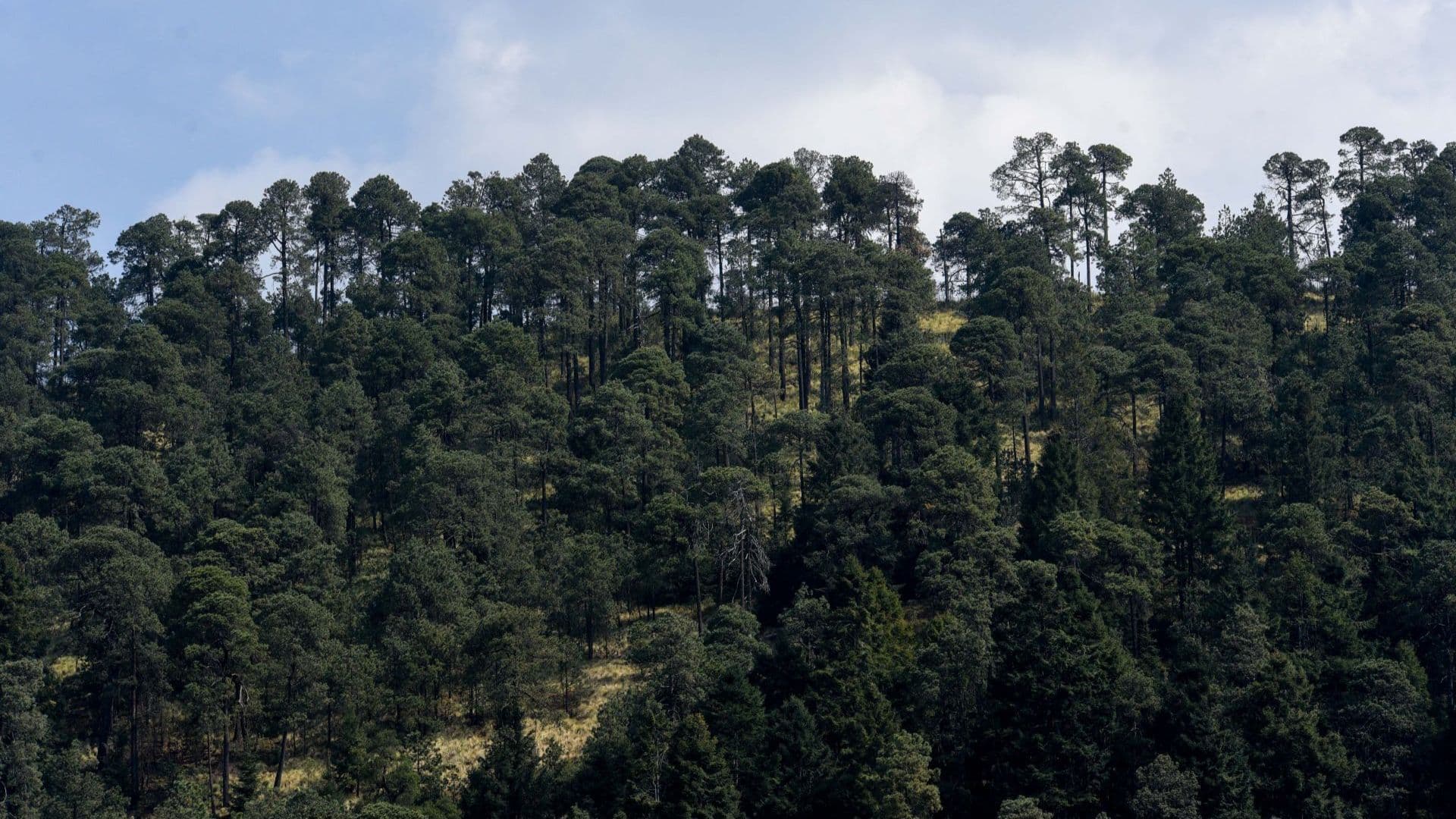 Ocoyoacac, Estado de México.