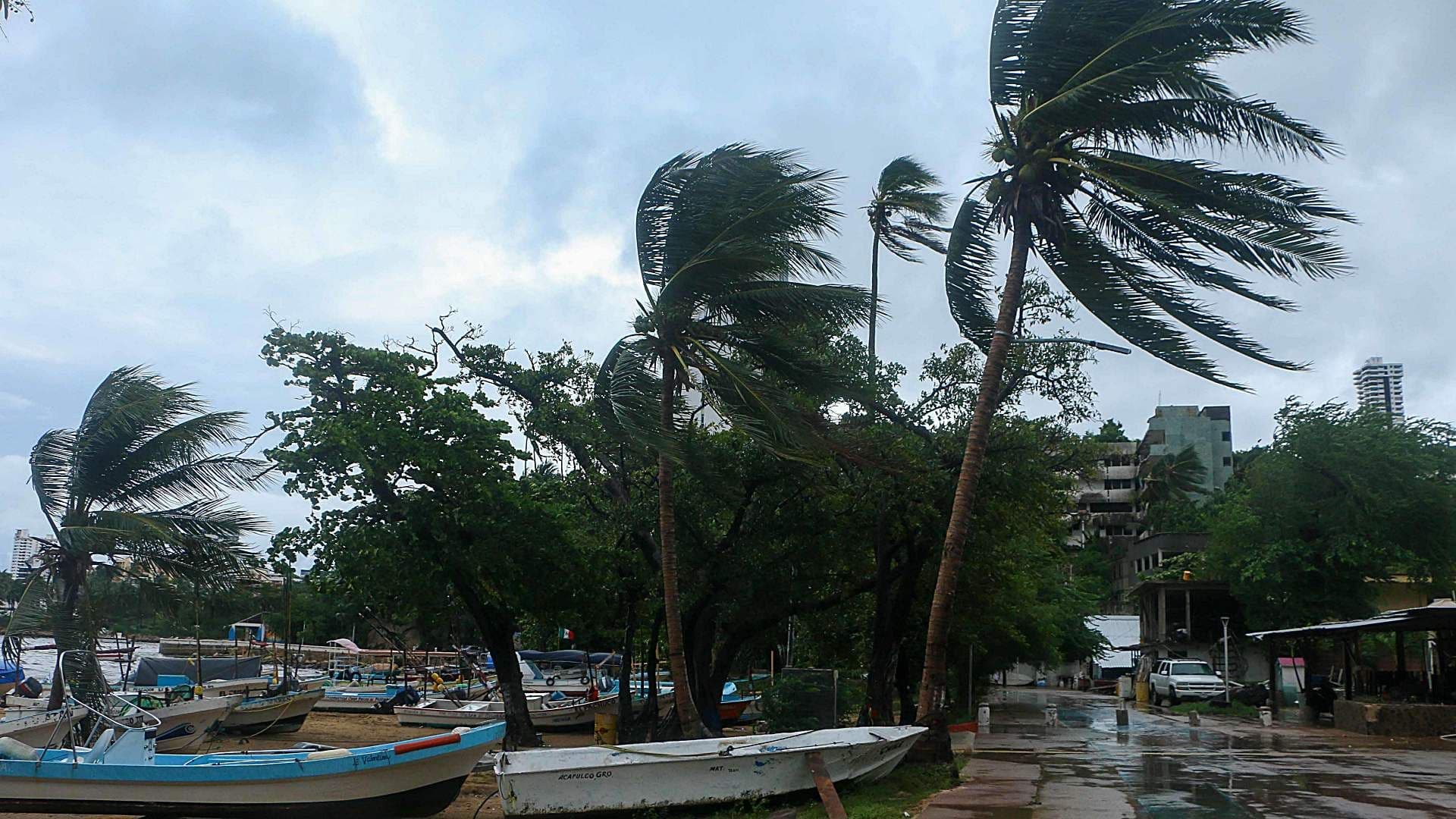 Nueva Onda Tropical, a la Vista: Lista de Estados Donde se Esperan Lluvias Intensas